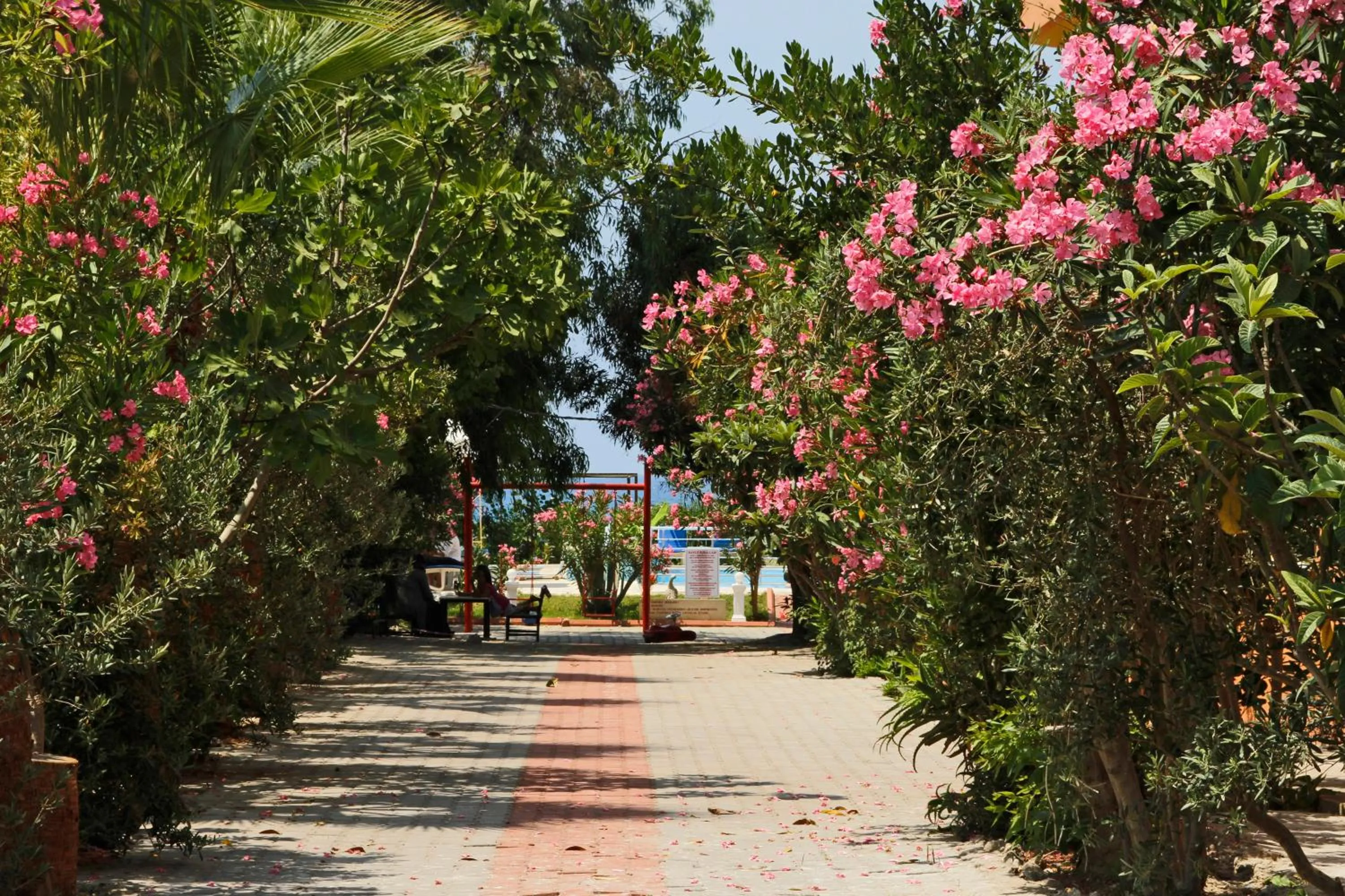 Garden in Hotel Grün