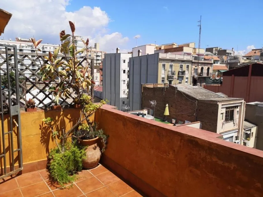 Balcony/Terrace in A Home in Barcelona
