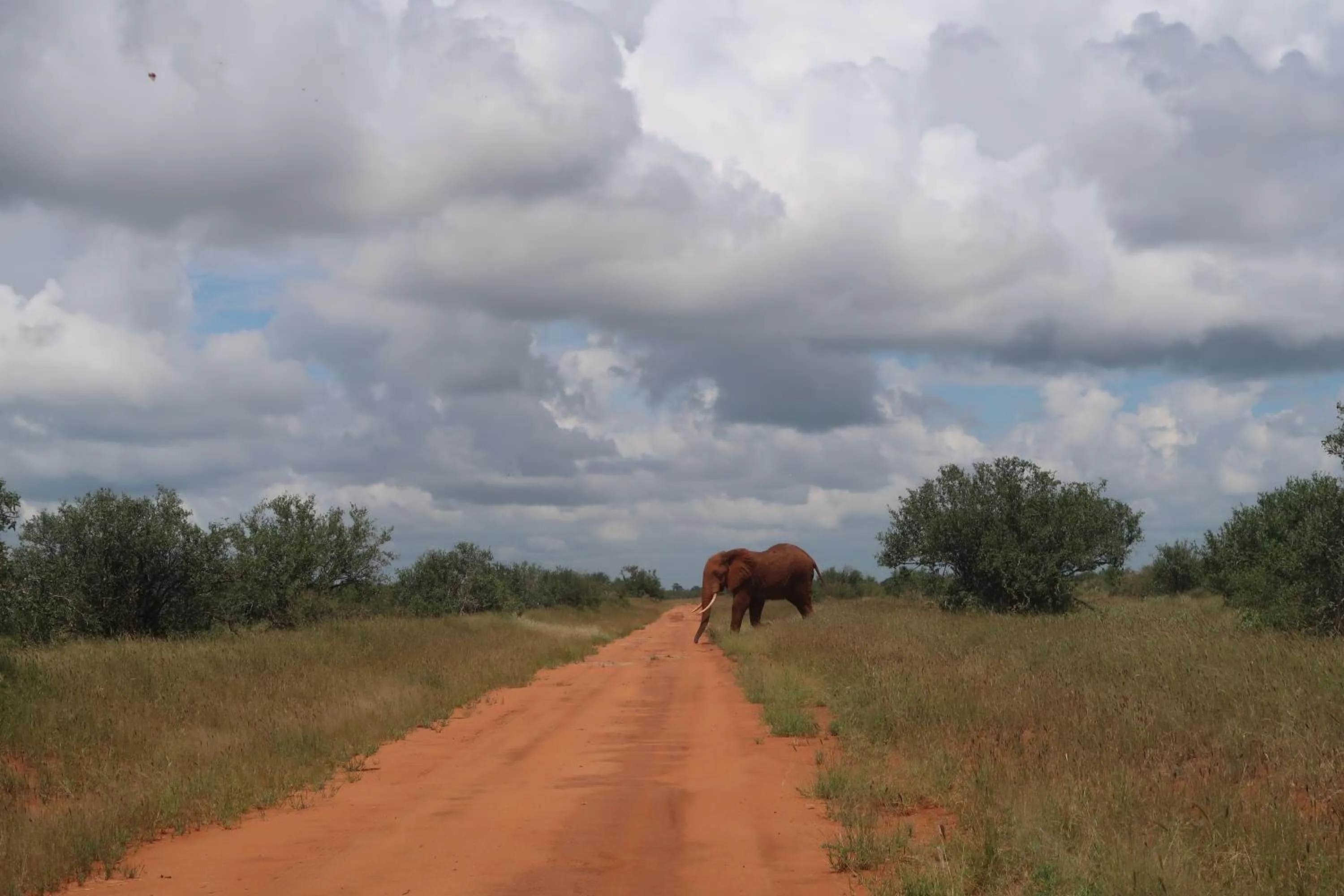 Tausa Tsavo Eco Lodge