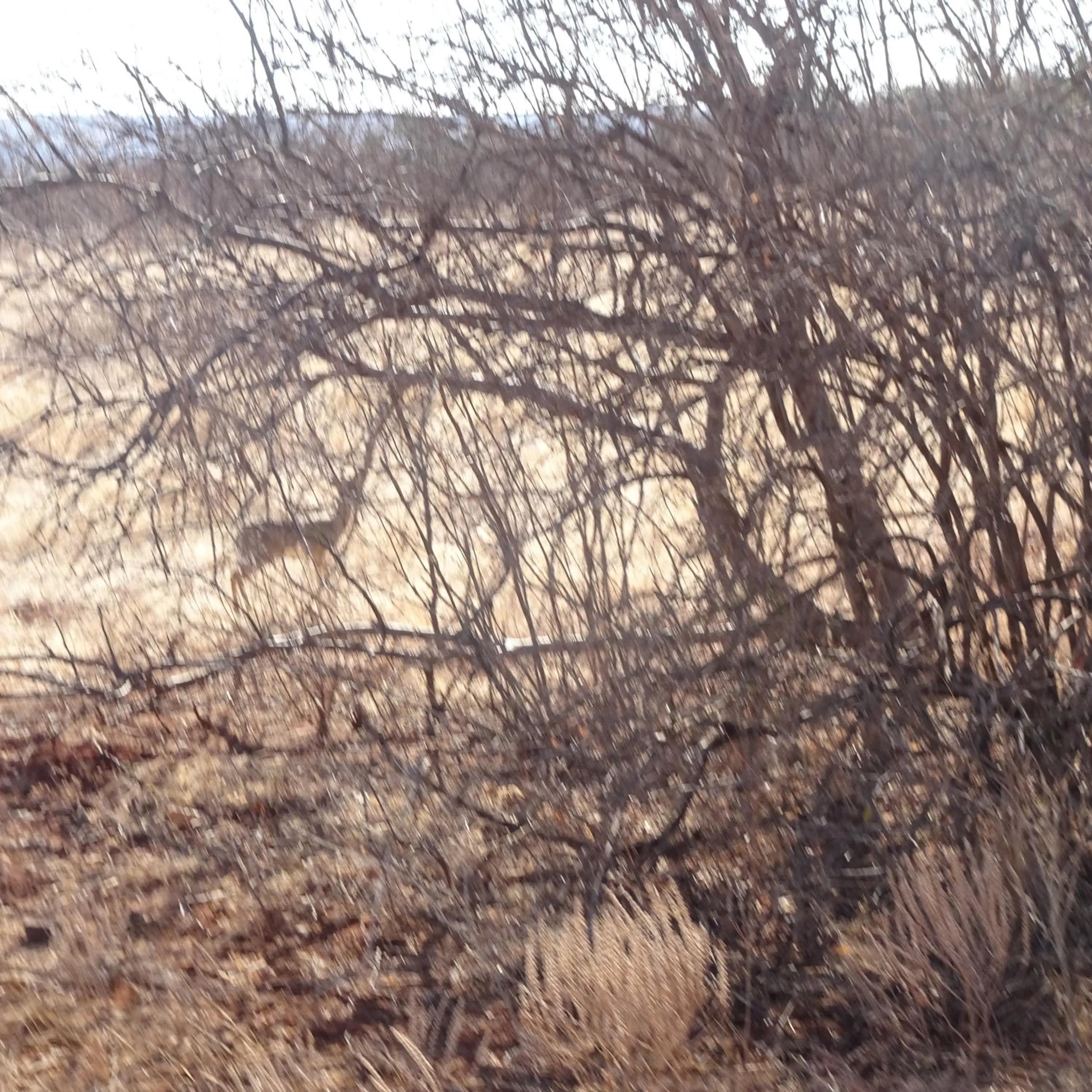Tausa Tsavo Eco Lodge