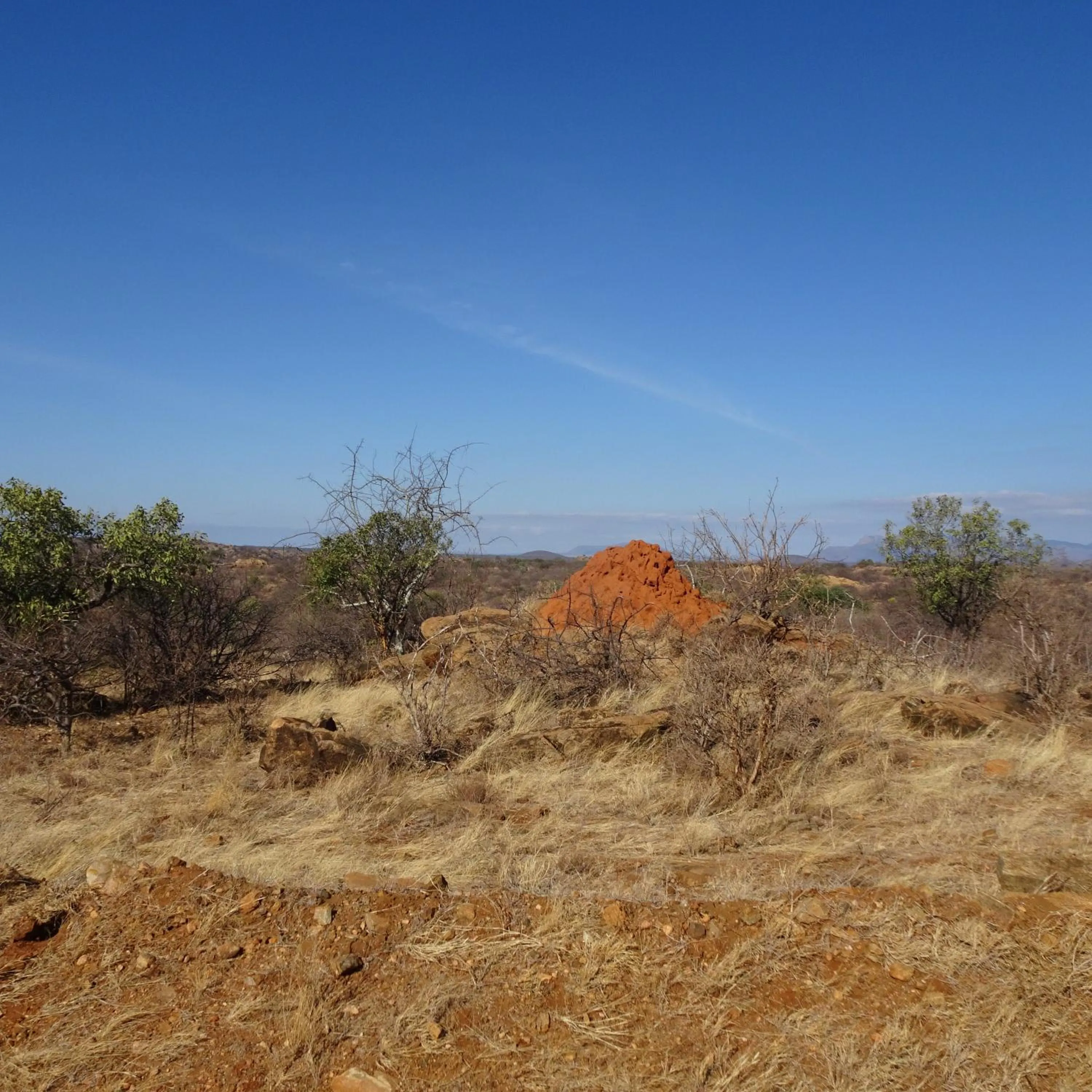 Tausa Tsavo Eco Lodge
