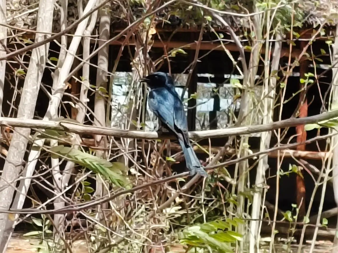 Bird's eye view in Tausa Tsavo Eco Lodge