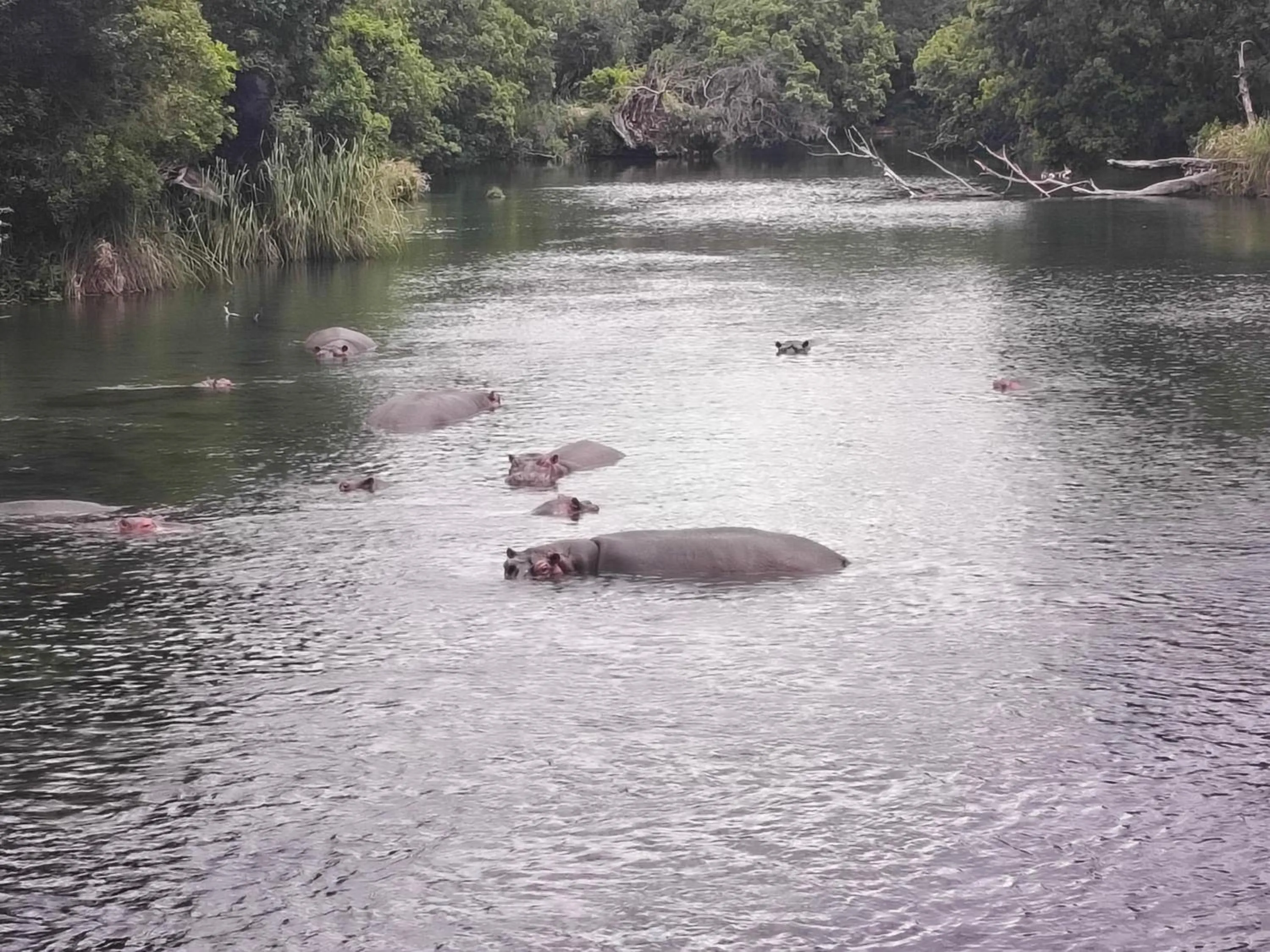 River view in Tausa Tsavo Eco Lodge