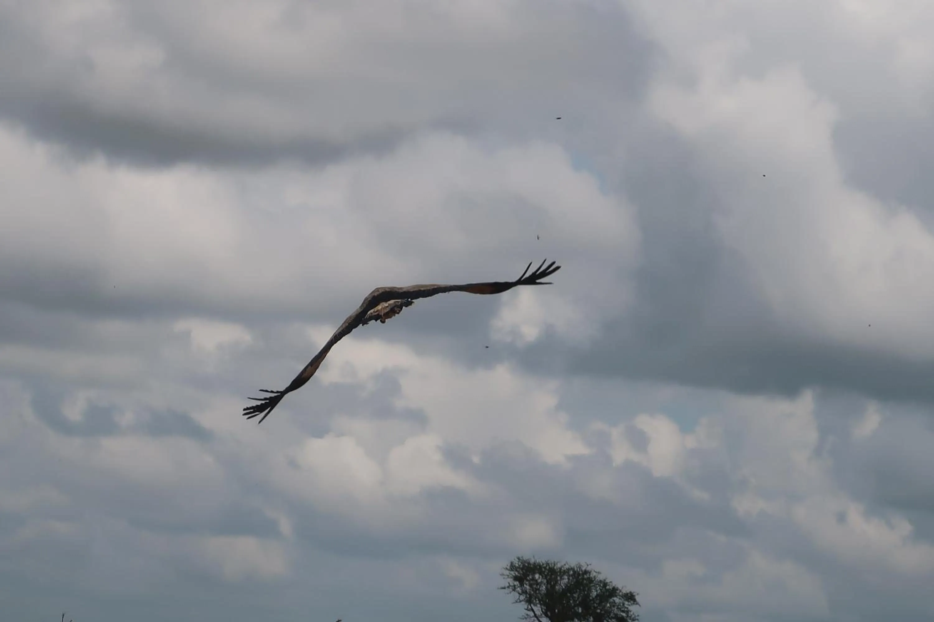 Tausa Tsavo Eco Lodge