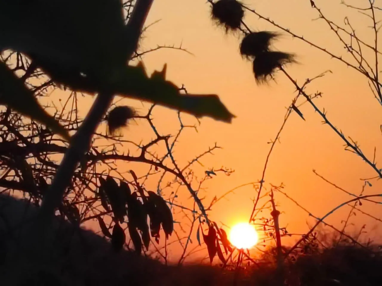 Sunset in Tausa Tsavo Eco Lodge