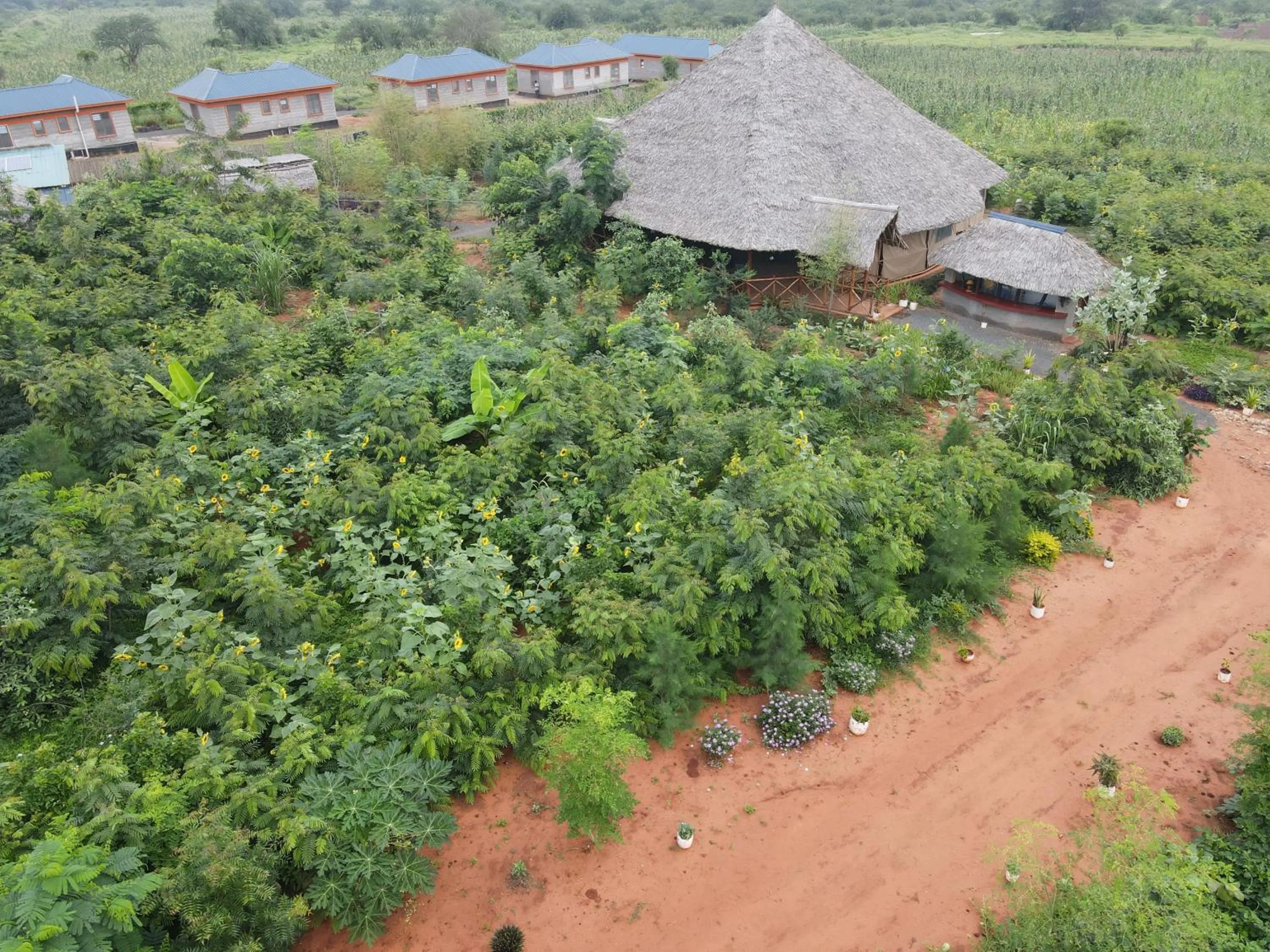Property building in Tausa Tsavo Eco Lodge
