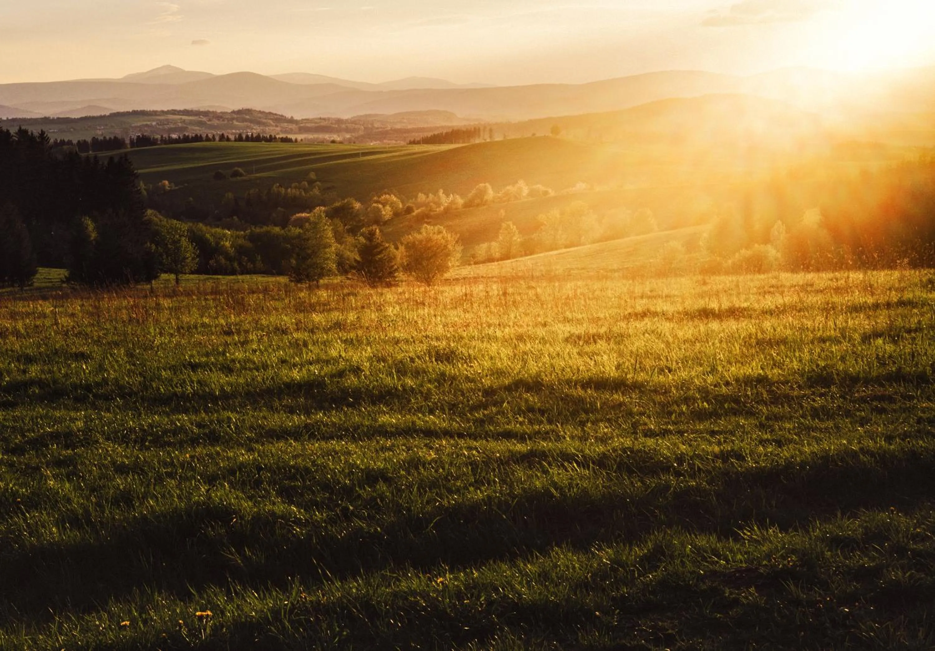 Off site in Hotel Piotr Spa&Wellness