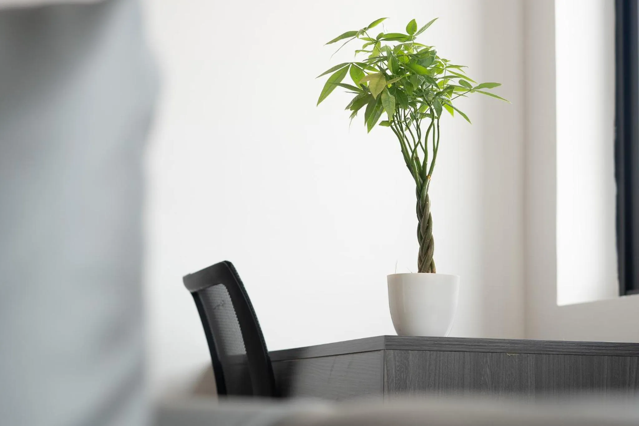 Seating area in A&J Kampot Boutique