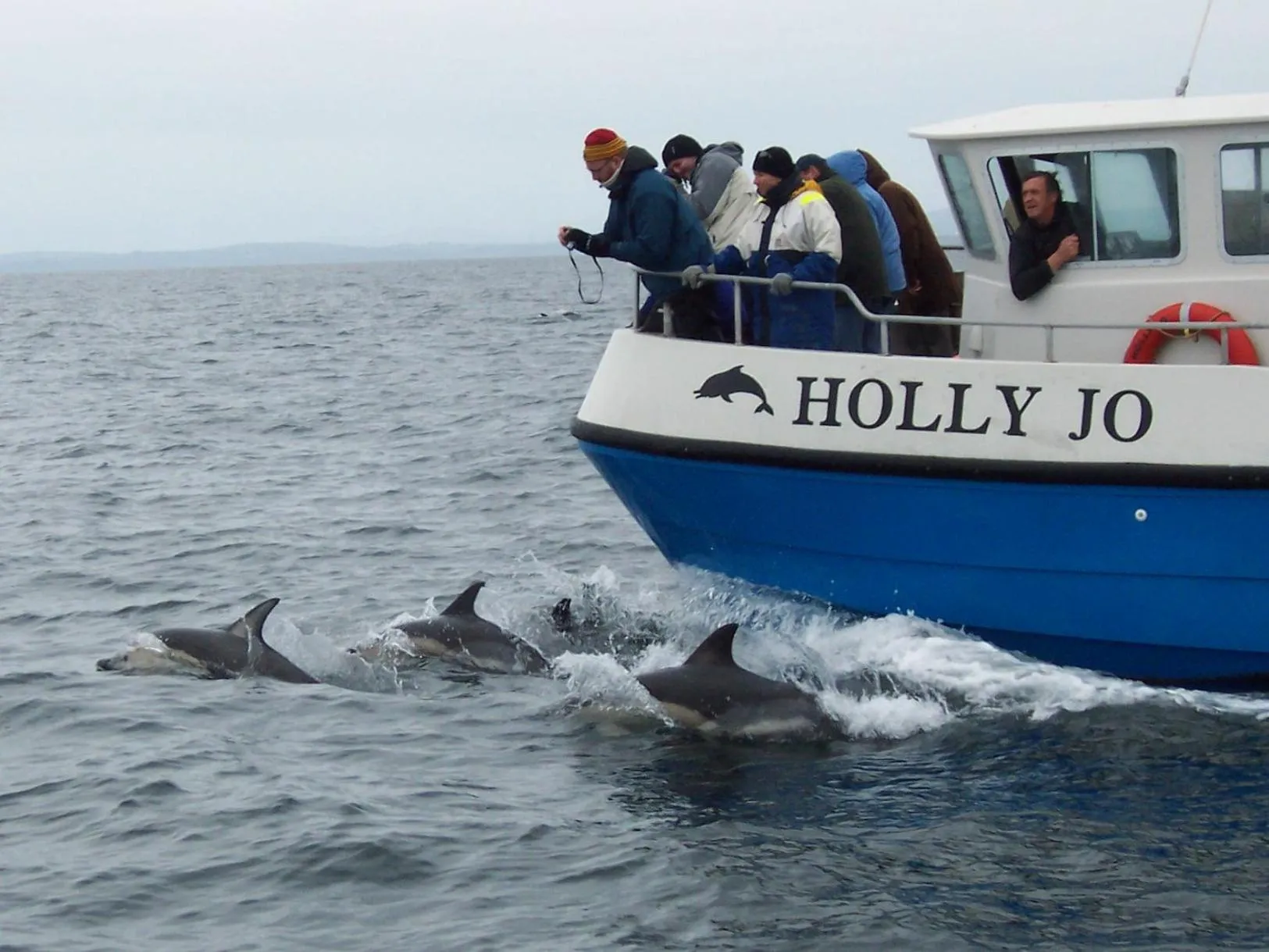Activities in Seascape B&B