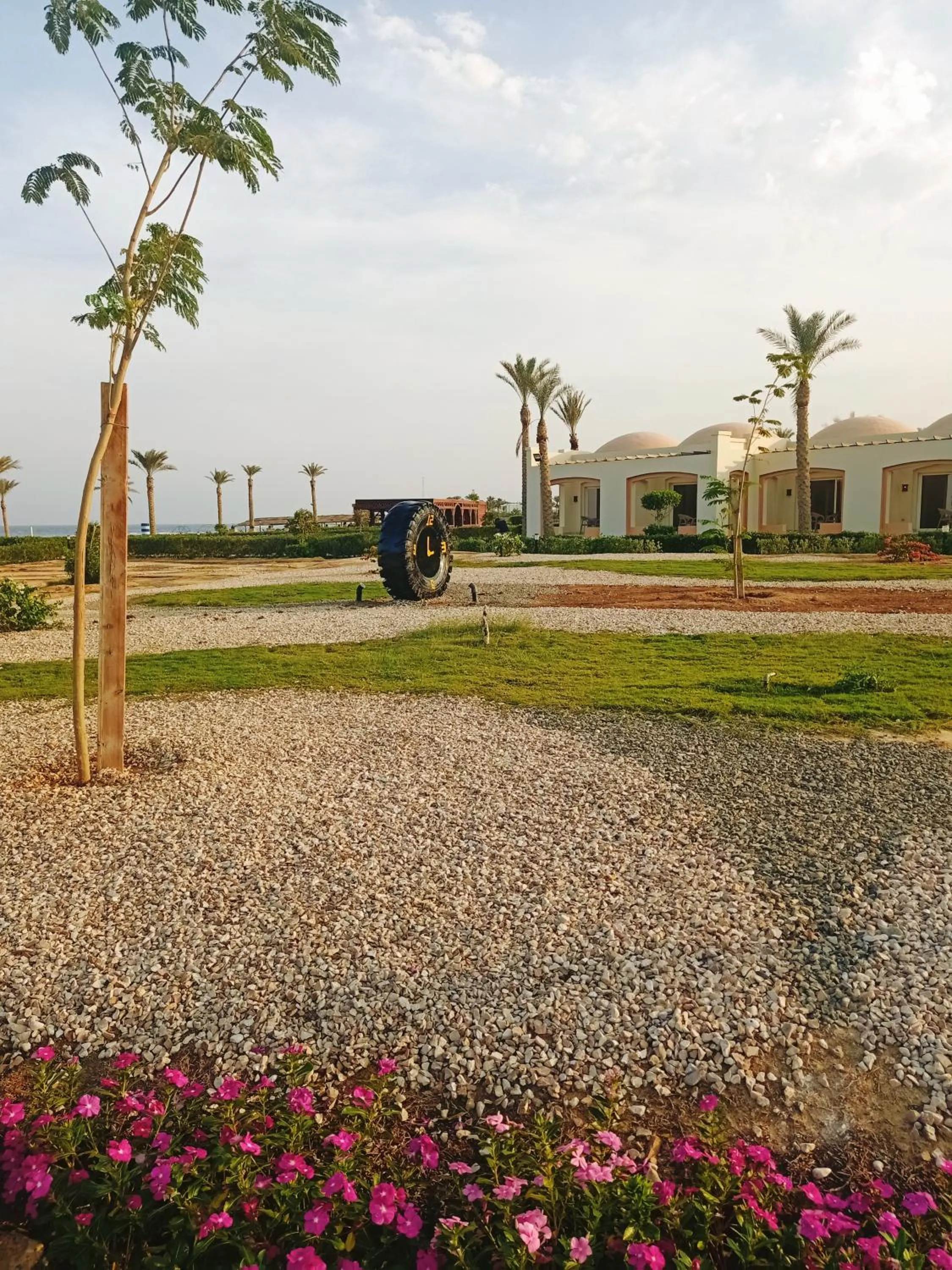Garden view in Amarina Queen Resort & Aqua Park Marsa Alam