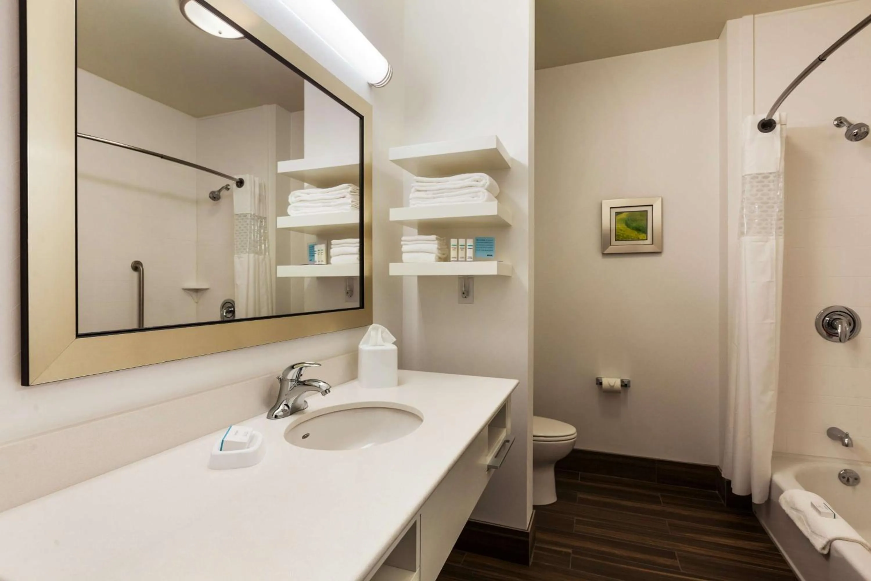 Bathroom in Hampton Inn & Suites Portland/Hillsboro-Evergreen Park