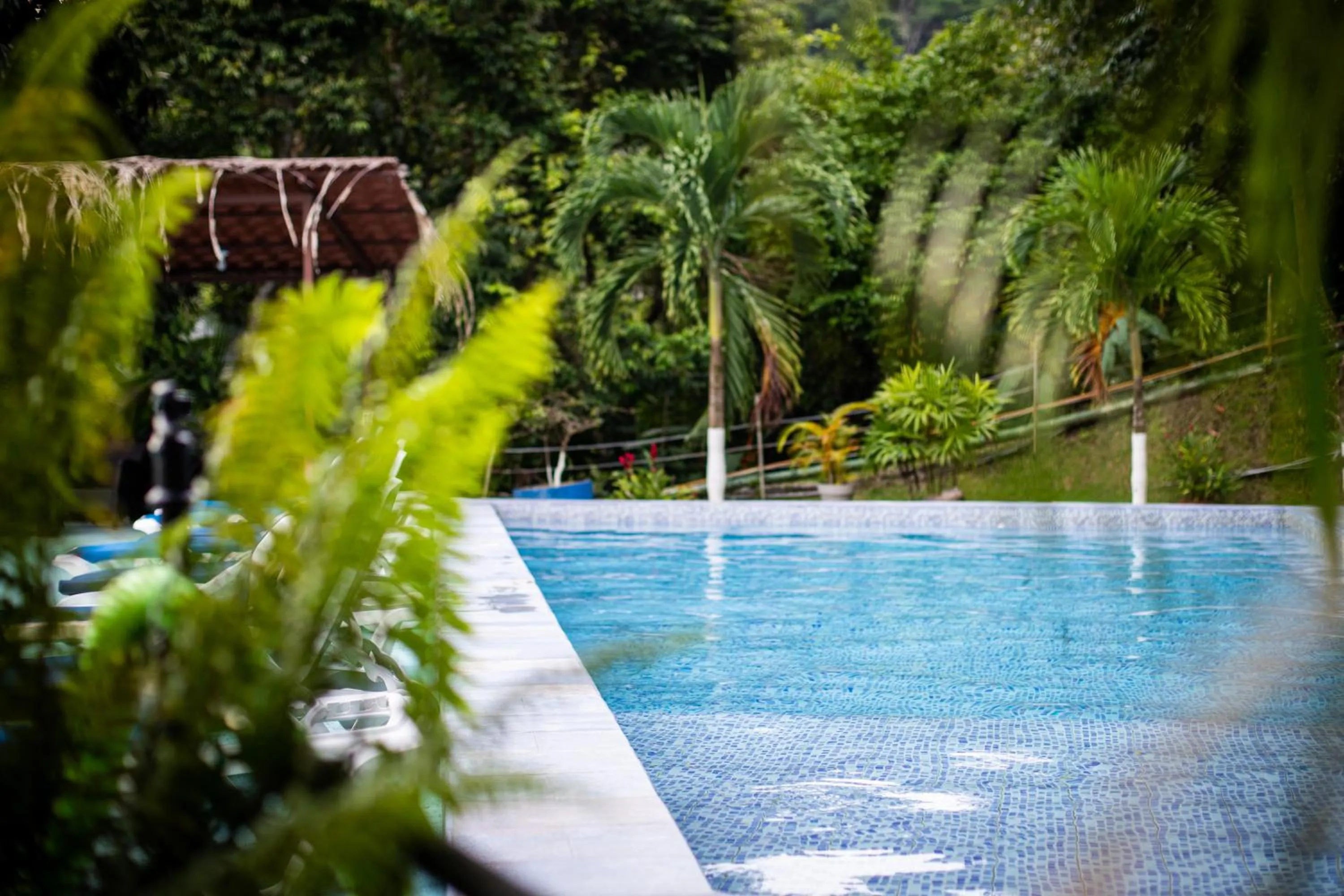 Garden in El Faro Containers Beach Hotel