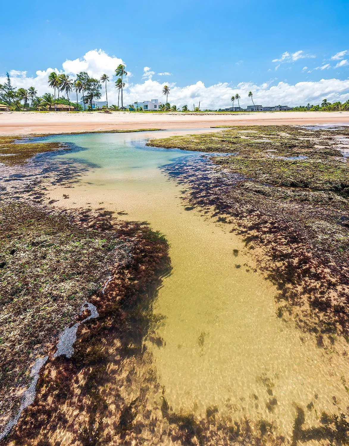 Pool view in B Blue Beachouses