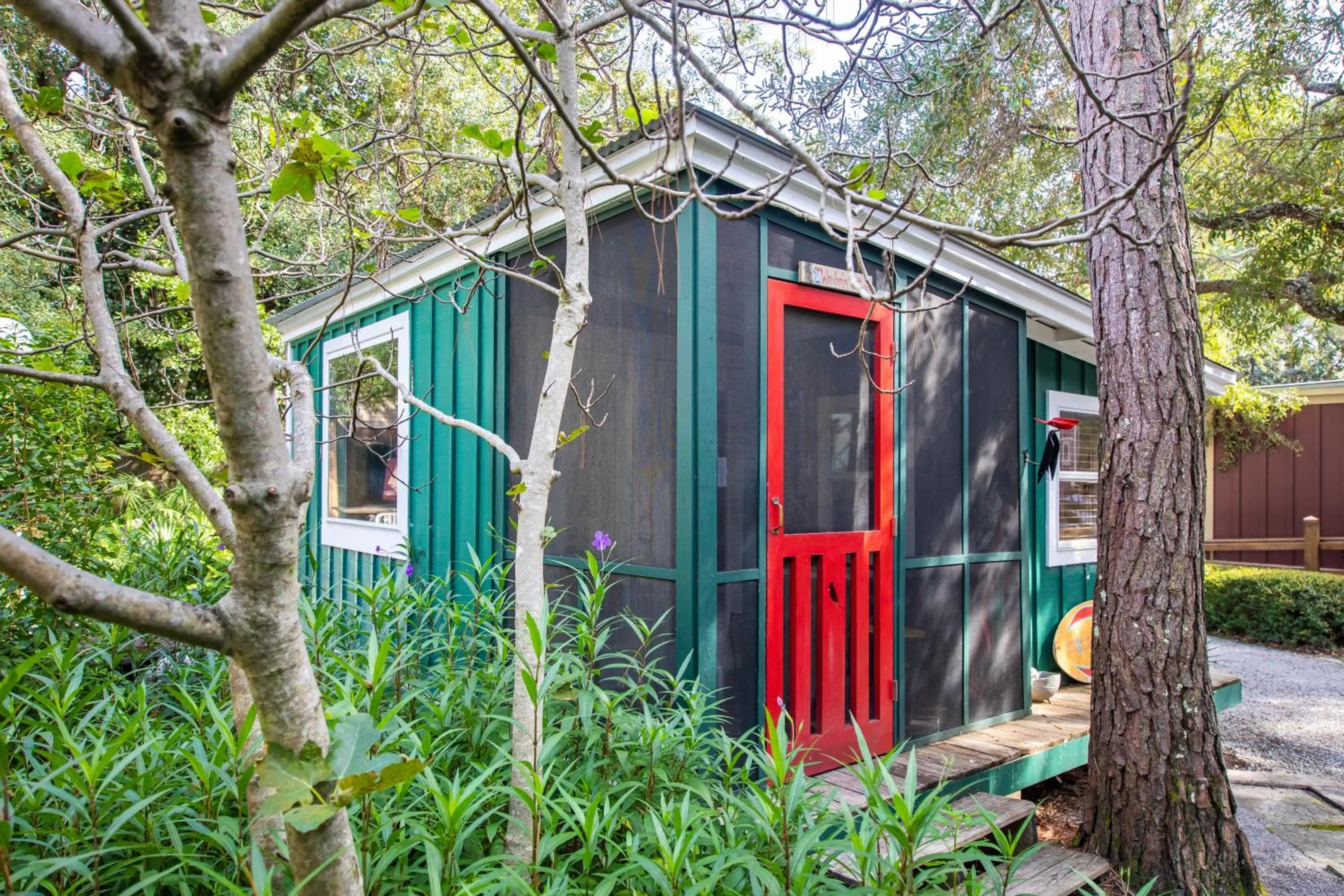 View (from property/room) in Hibiscus Coffee & Guesthouse