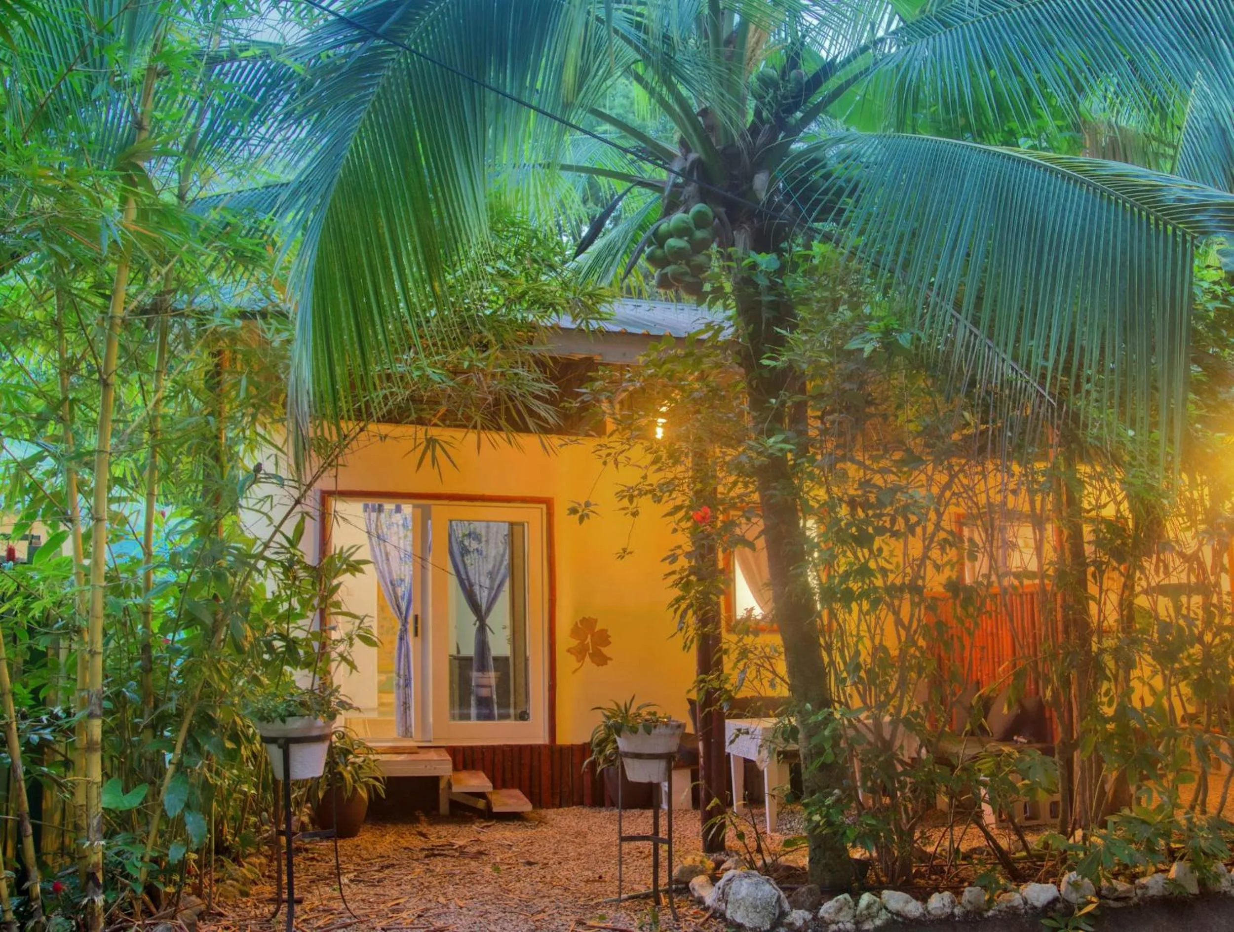 Patio in Jungles Edge Hotel, Jiu Jitsu, Muay Thai Retreat Center