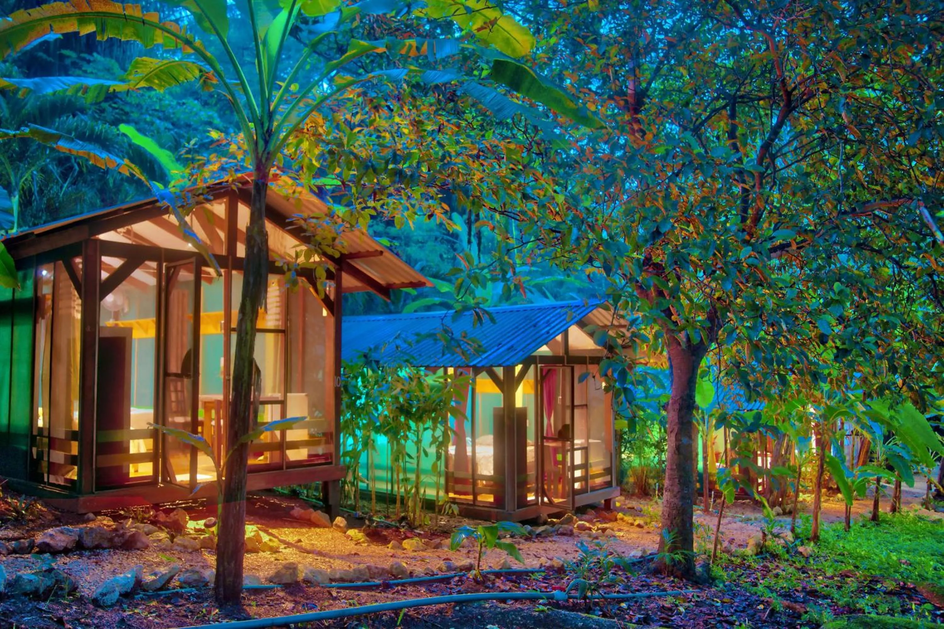 Jungles Edge Hotel, Jiu Jitsu, Muay Thai Retreat Center