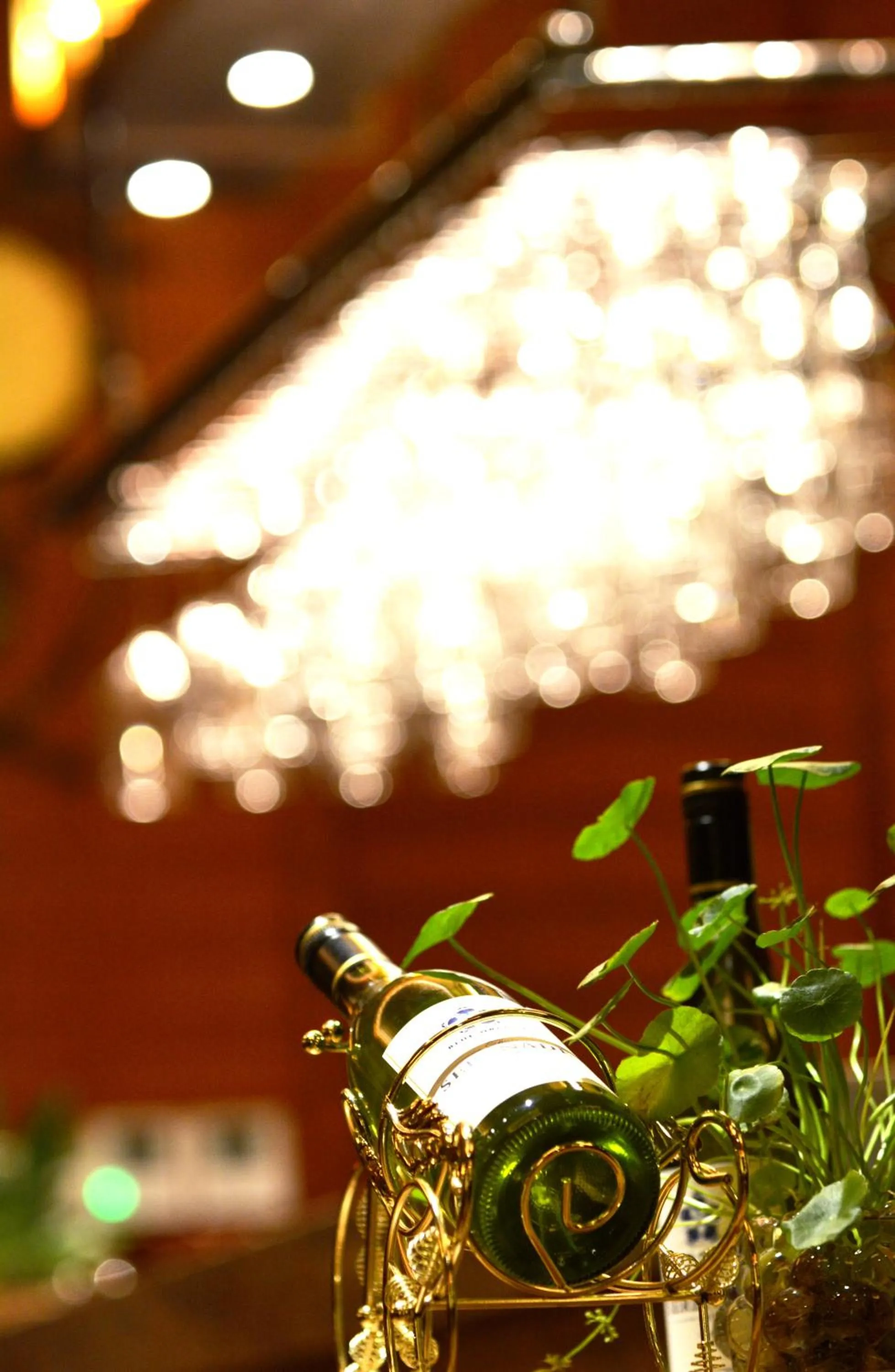 Activities in HNTI·Narada Sanya Bay Resort