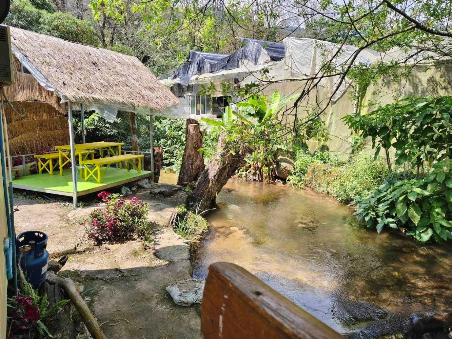 Day in Inthanon Lao-Ju House