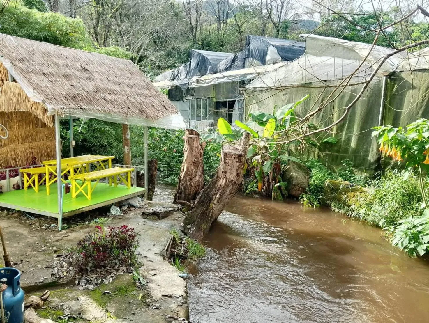 Day in Inthanon Lao-Ju House