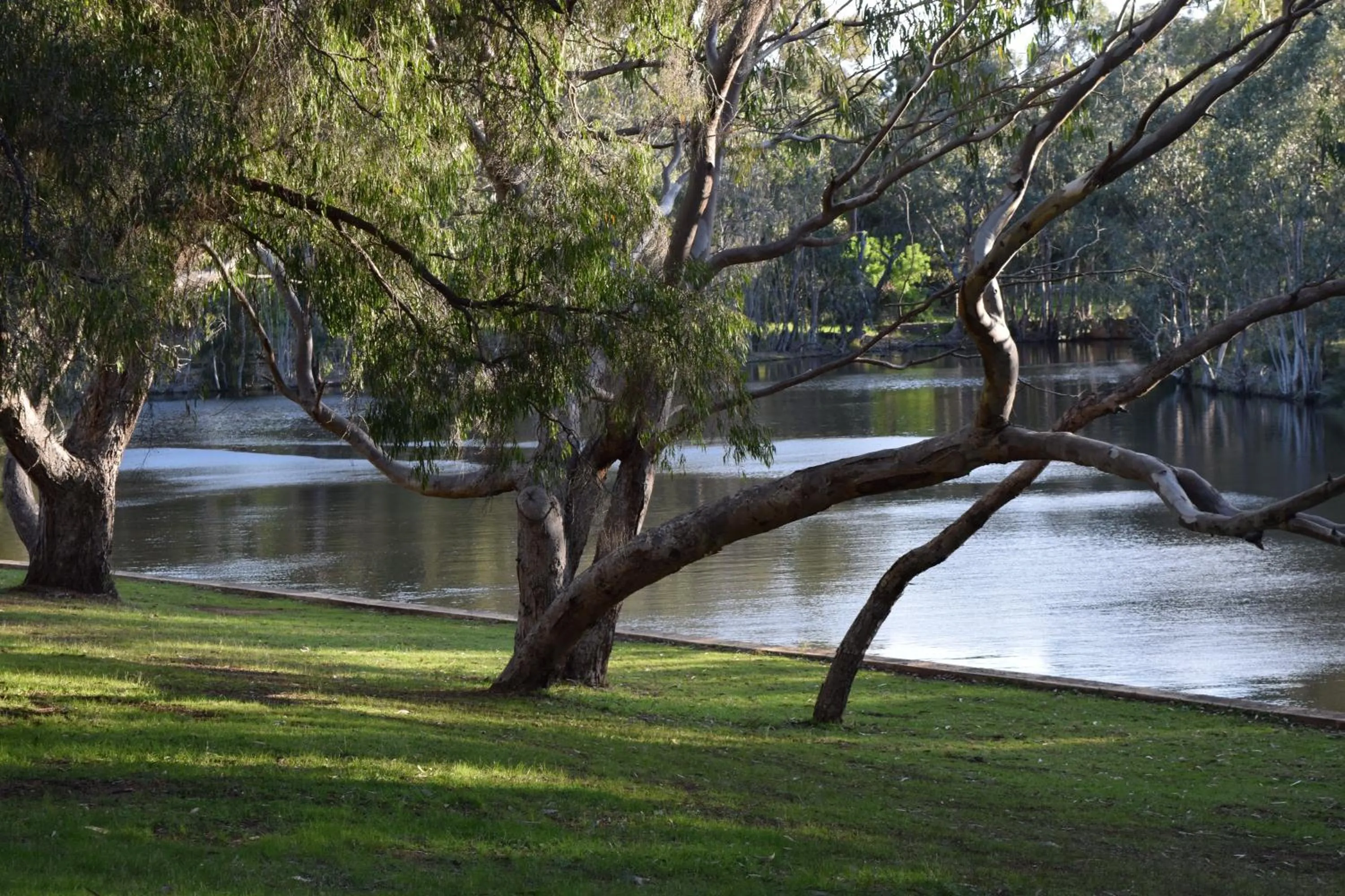 Garden in Bushy Lake Chalets