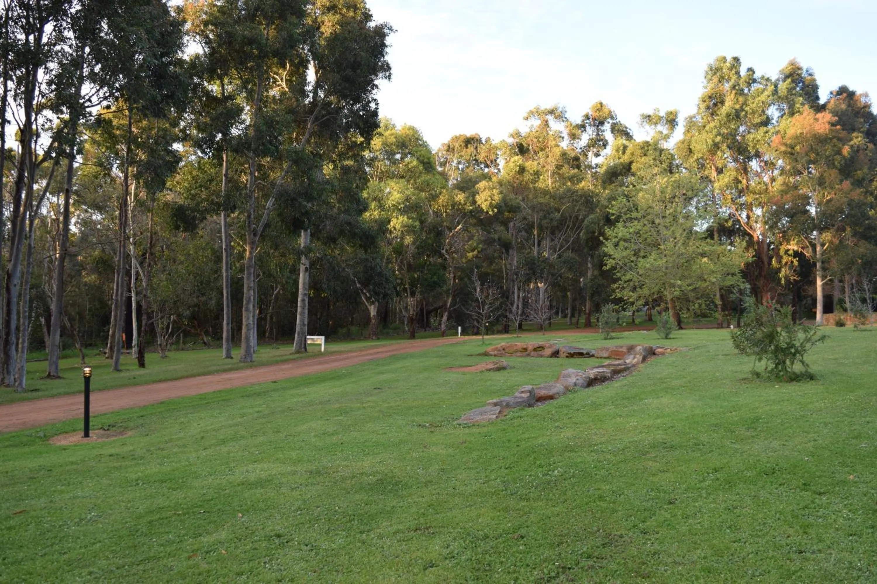 Day in Bushy Lake Chalets