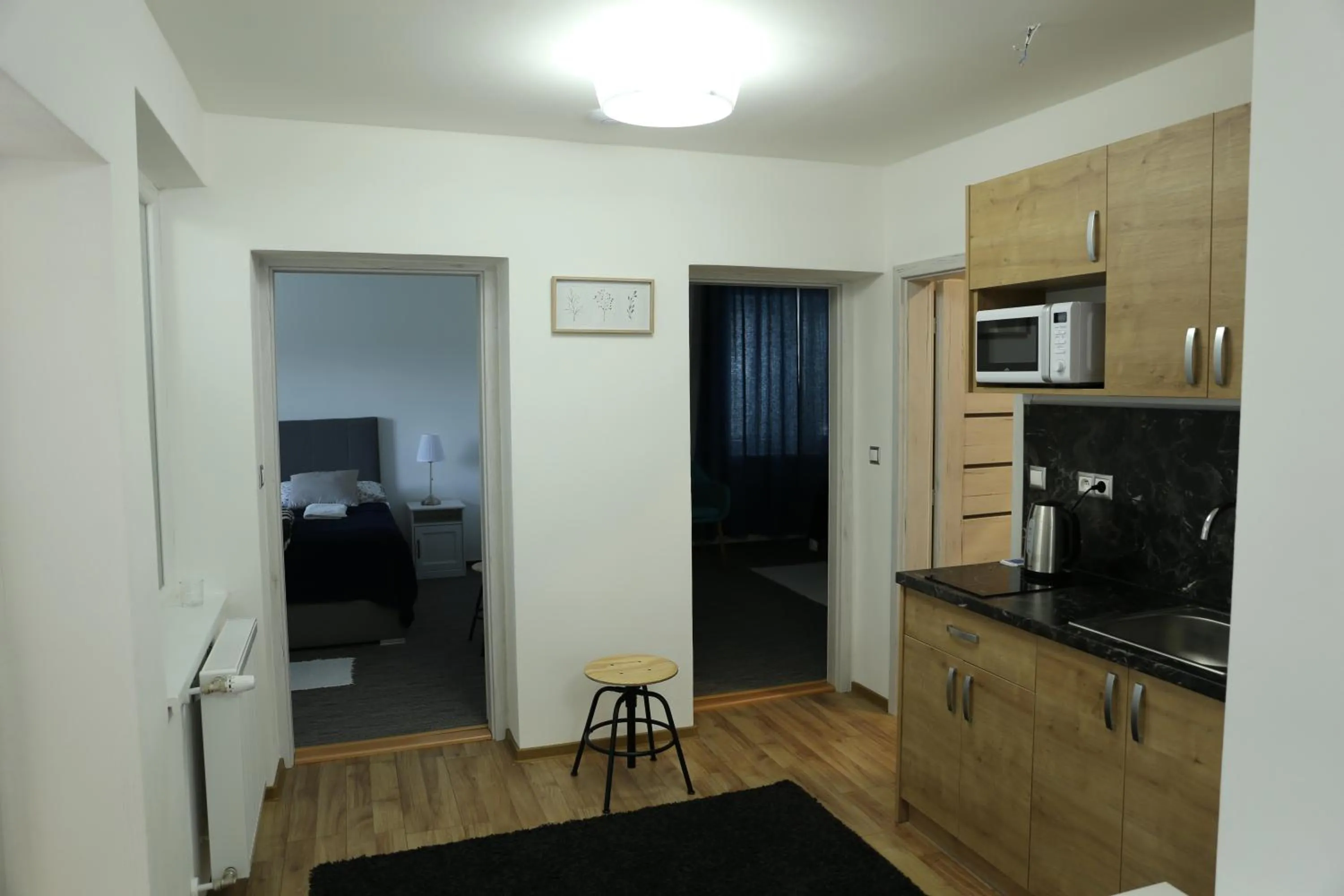 Kitchen or kitchenette in Penzion Agrothermal