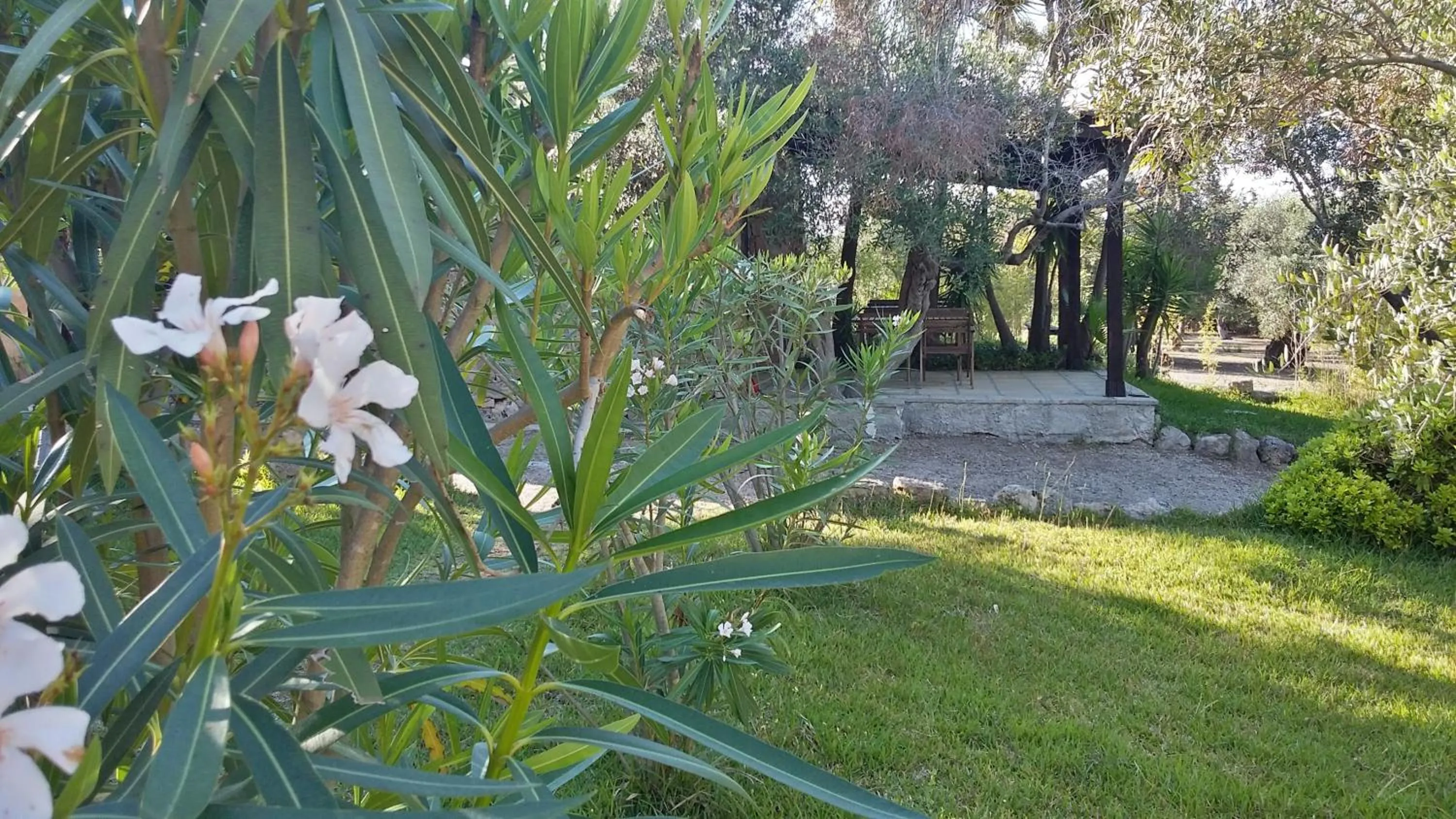 Garden in Tenuta Terenzano