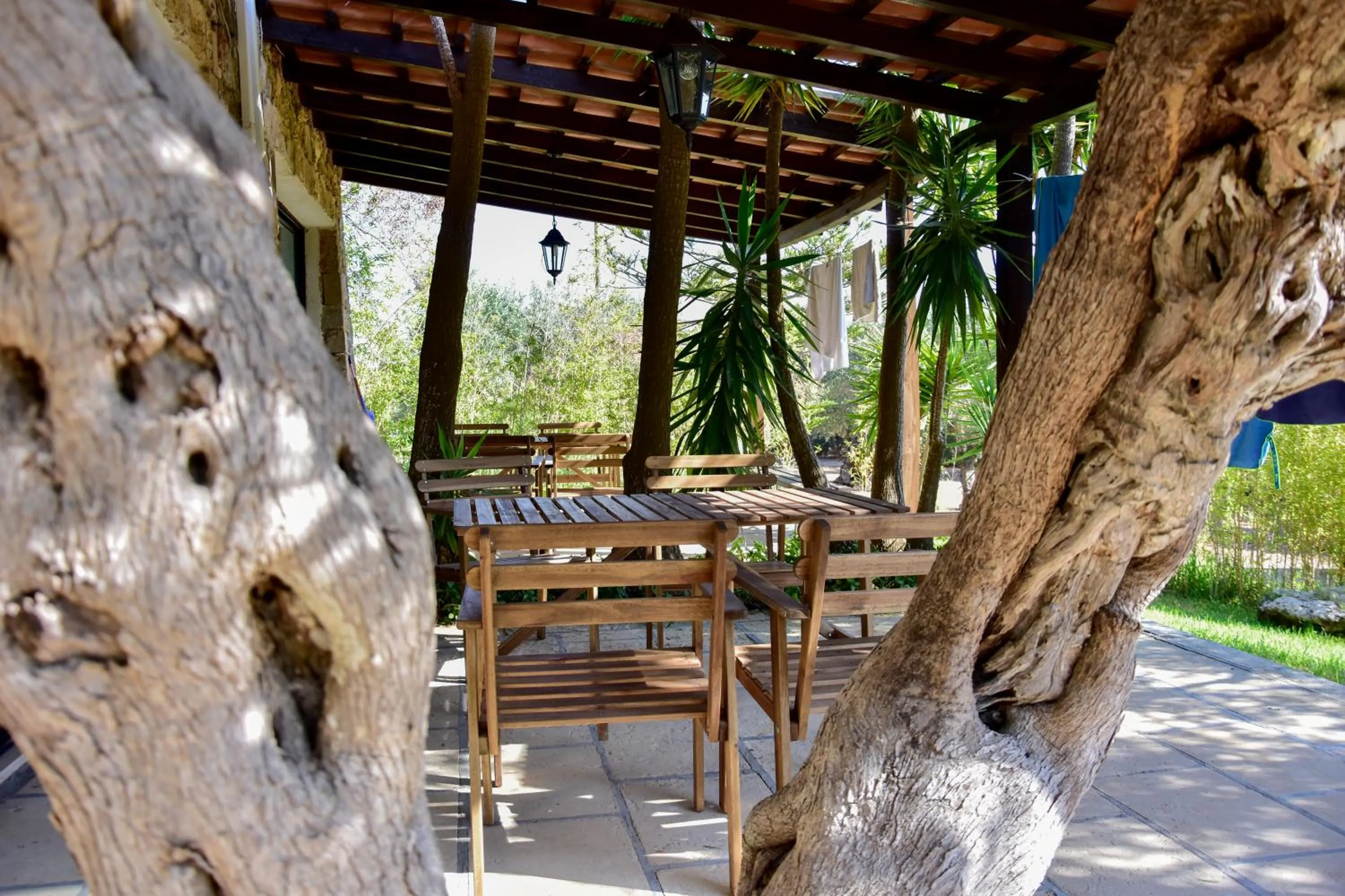 Patio in Tenuta Terenzano