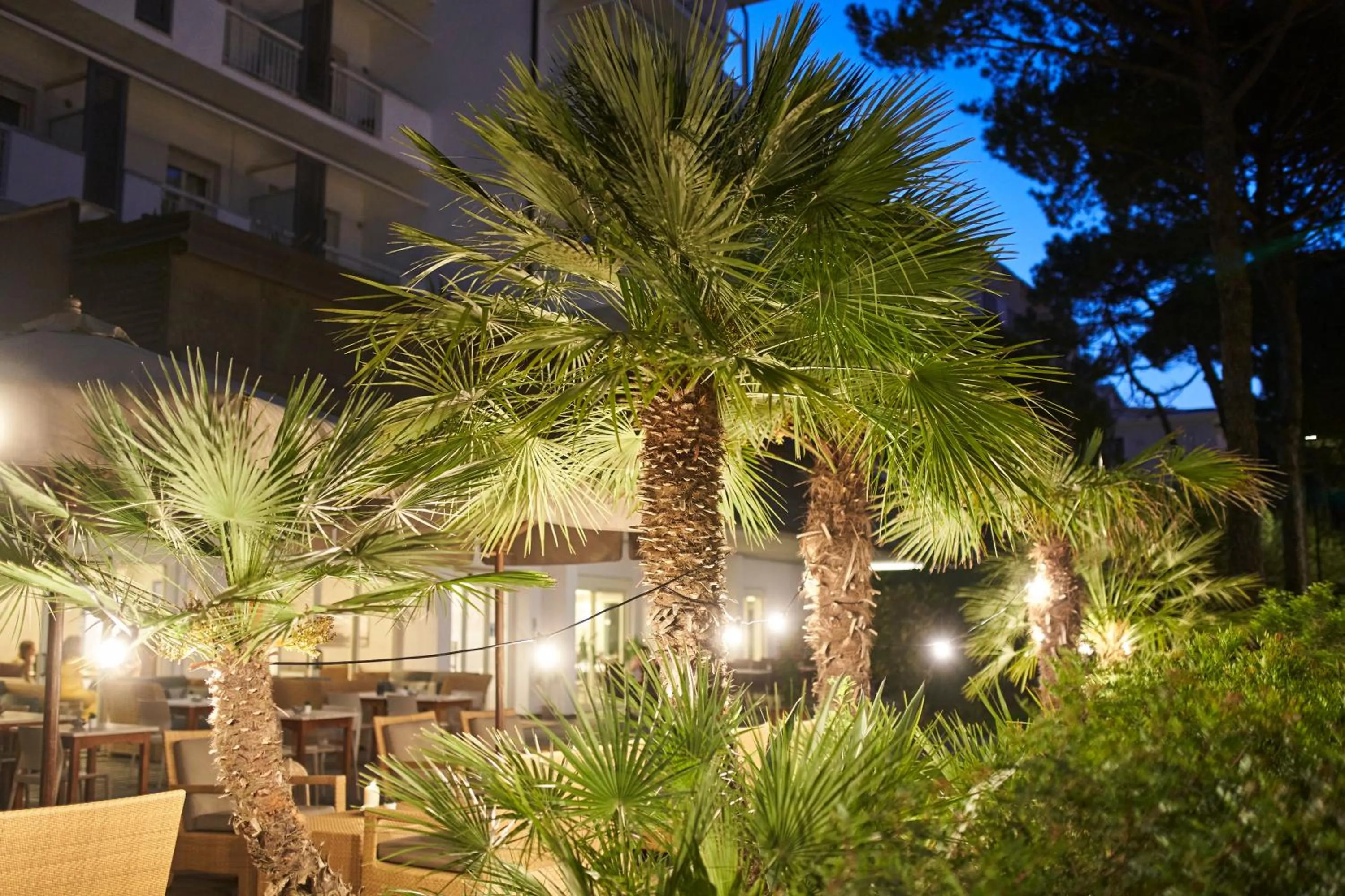 Garden in Hotel Parco