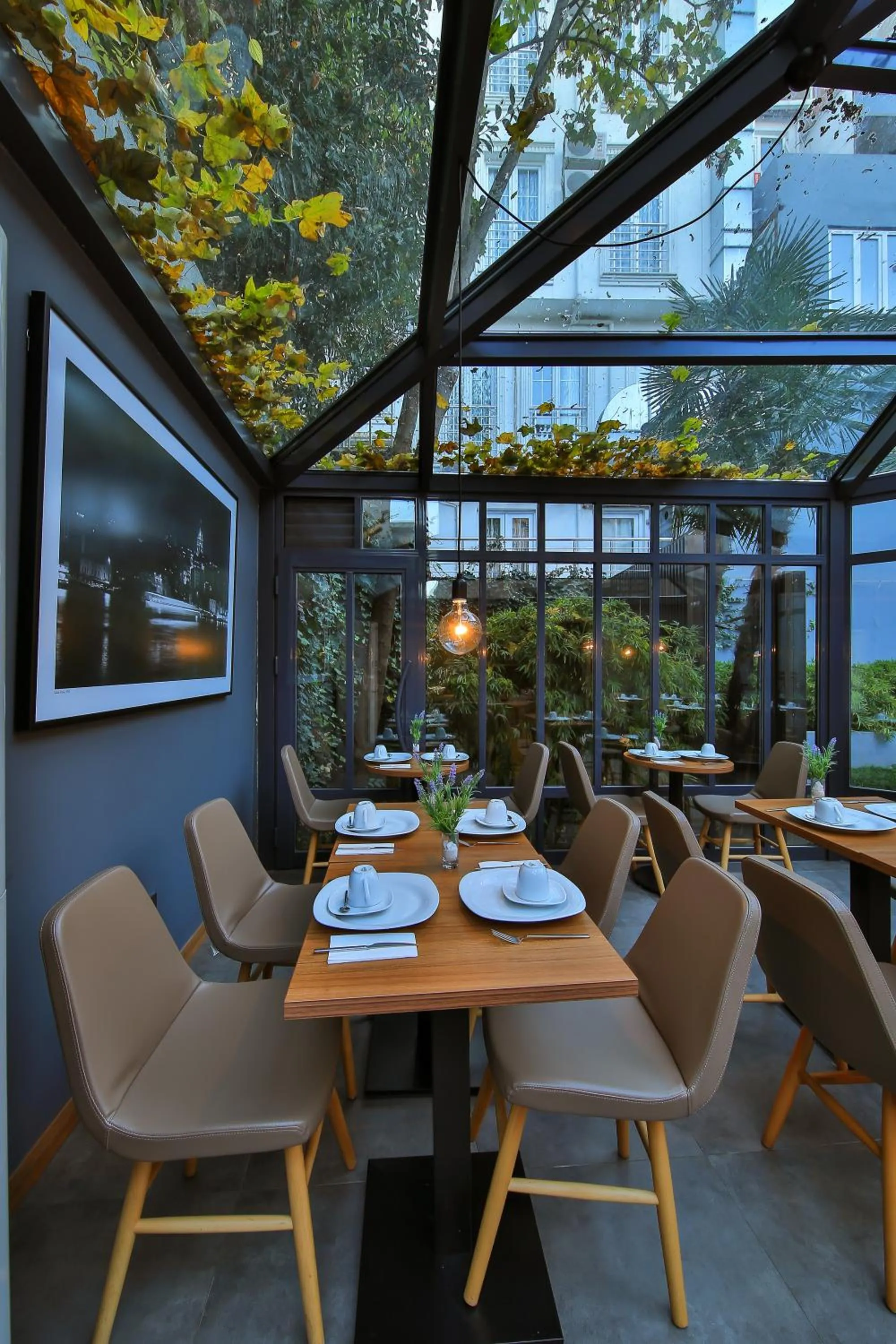 Restaurant/places to eat in Alilass Hotel