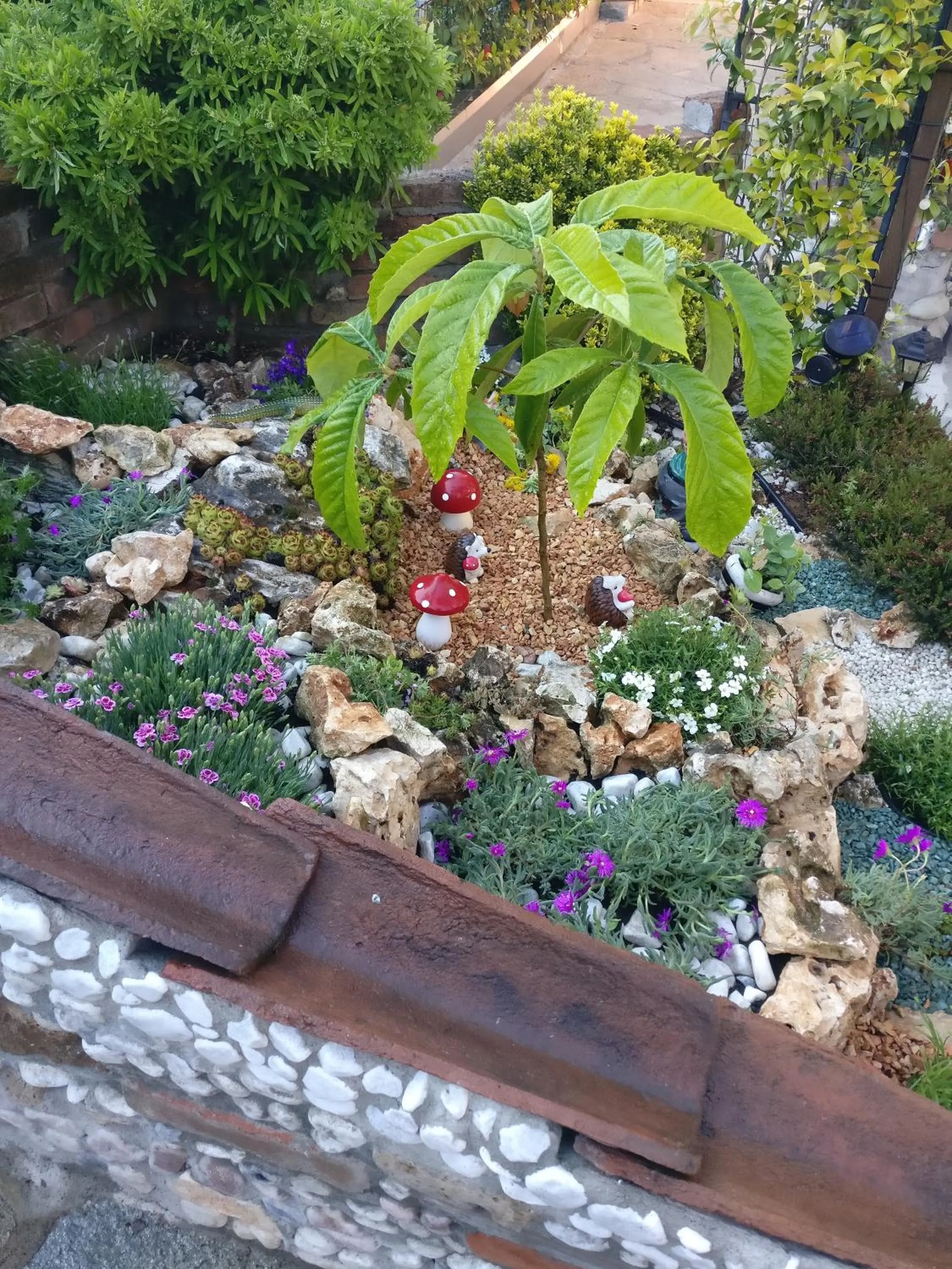 Caicai Bed And Breakfast