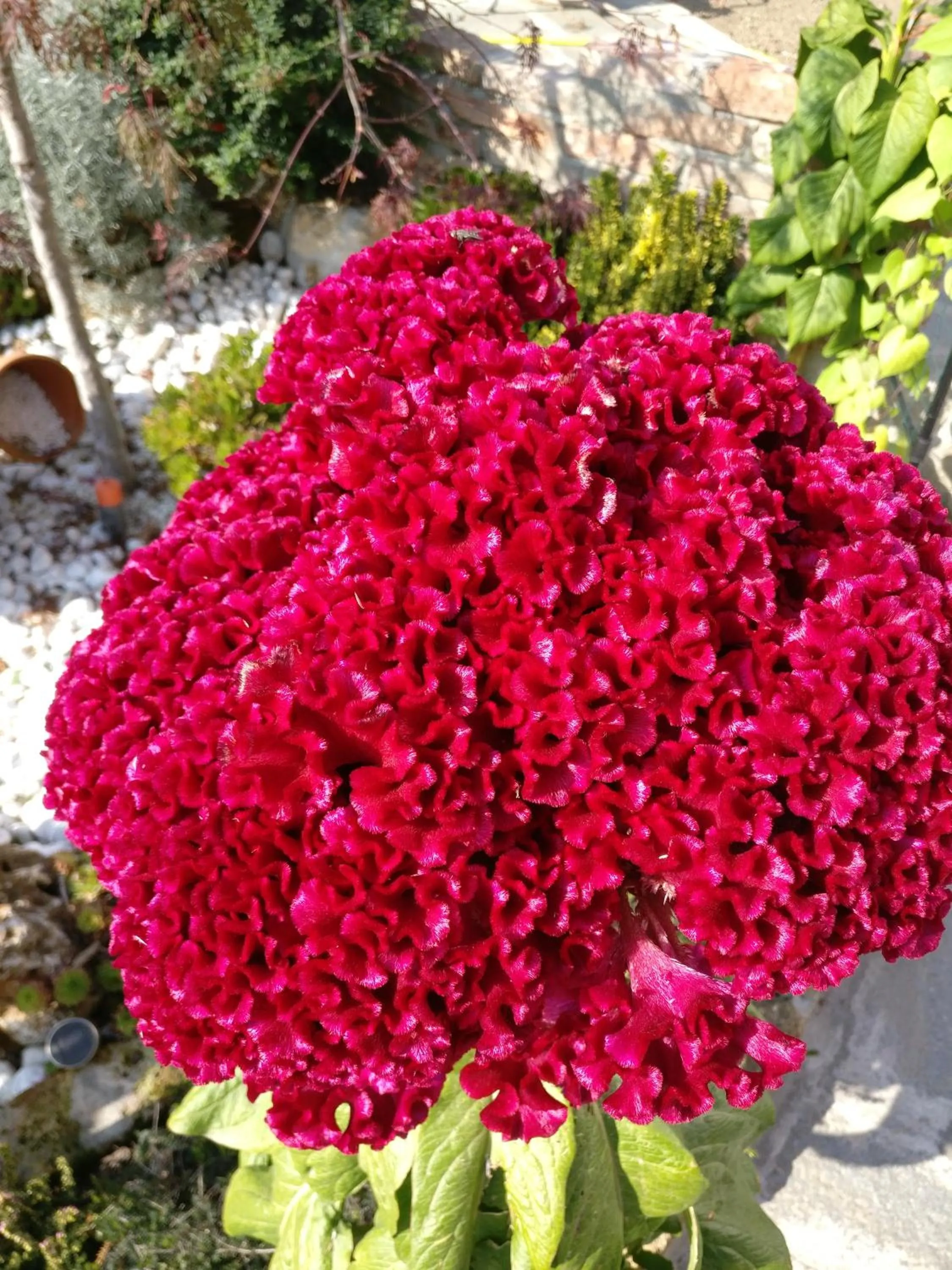 Caicai Bed And Breakfast