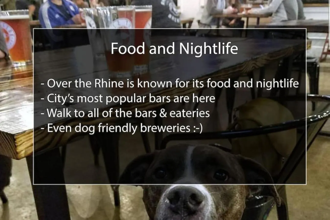 2 Large Apts w Parking - Downtown Over the Rhine