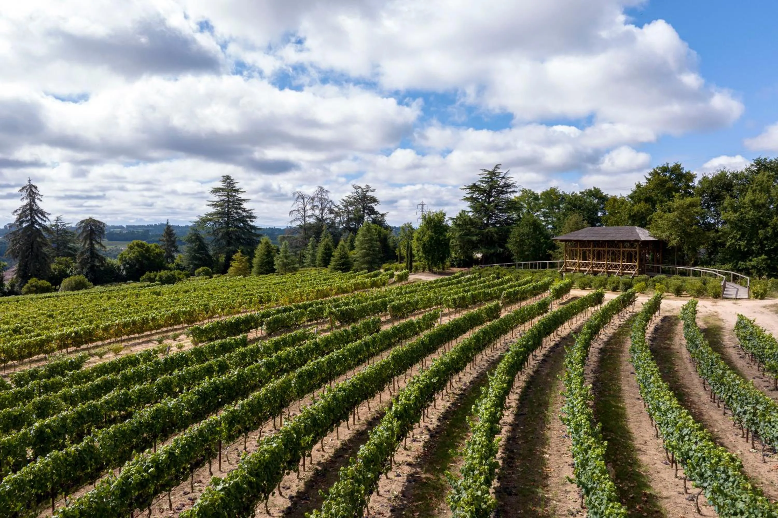 Natural landscape in Valverde Santar Hotel & SPA - Relais & Châteaux