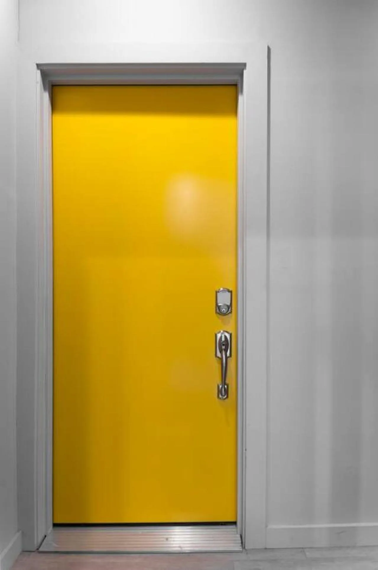 CHEETAH Venture out on your Cincinnati Safari