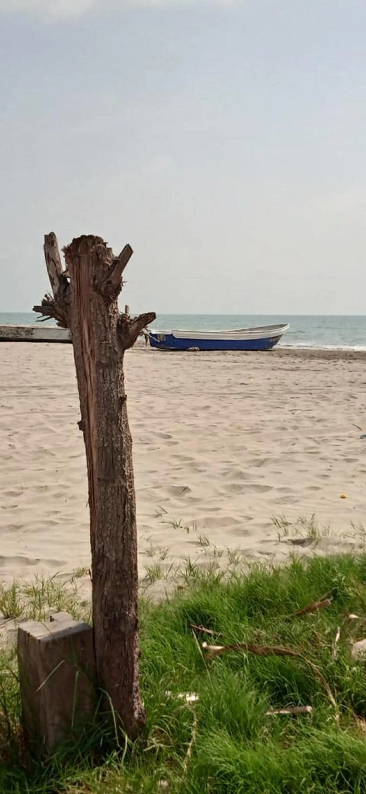 Beach in HOSTAL LA BOQUILLA