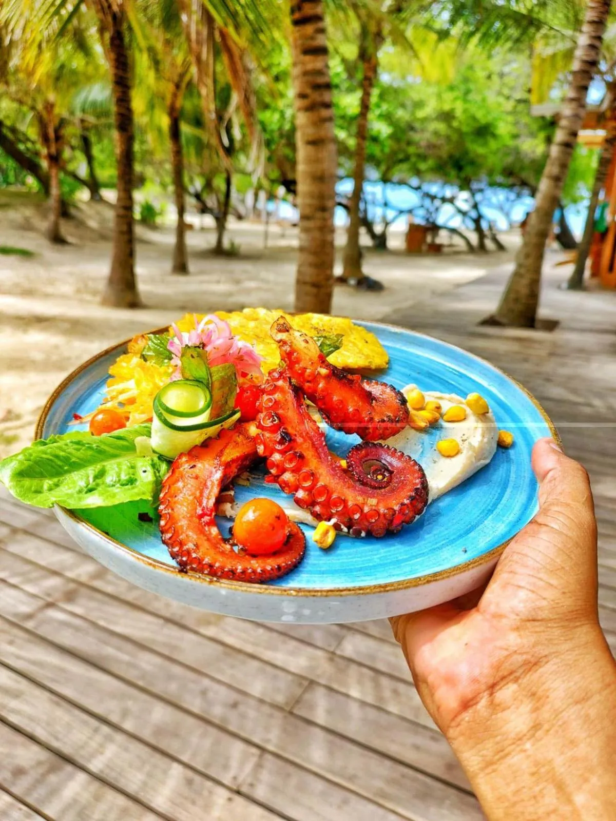 Restaurant/places to eat in Hotel Rosario de Mar by Tequendama