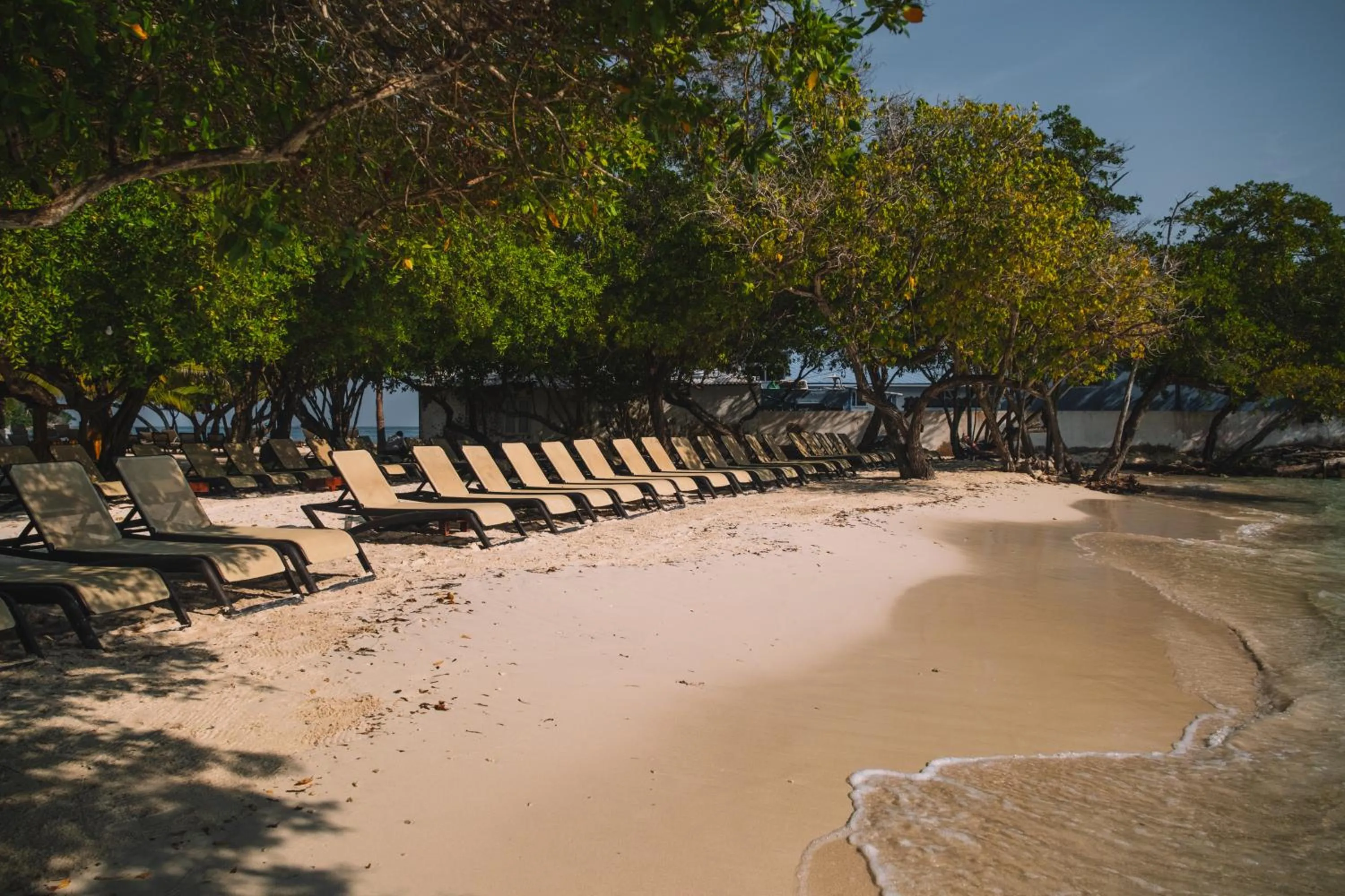 Beach in Hotel Rosario de Mar by Tequendama
