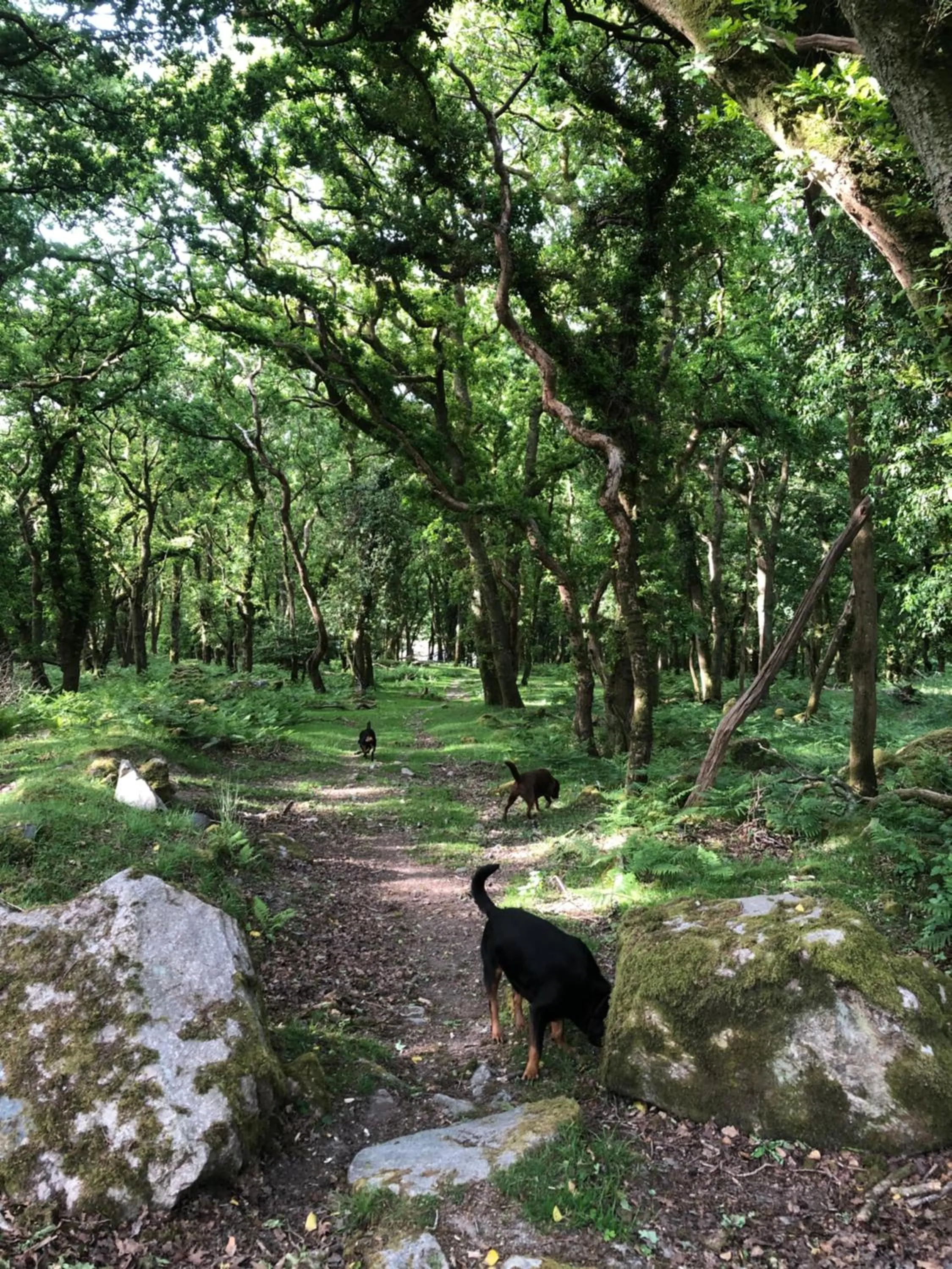 Hiking in The Moorland Hotel