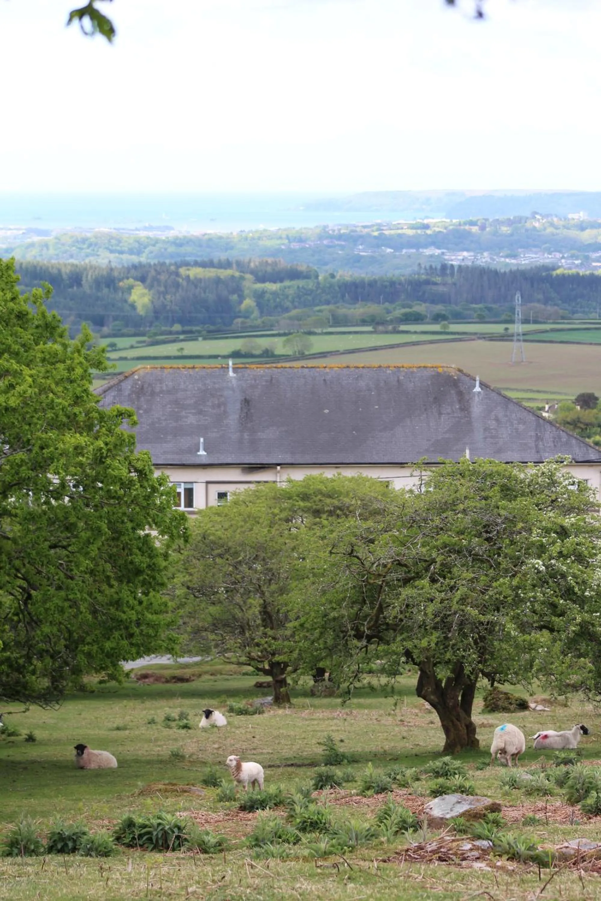 Natural landscape in The Moorland Hotel
