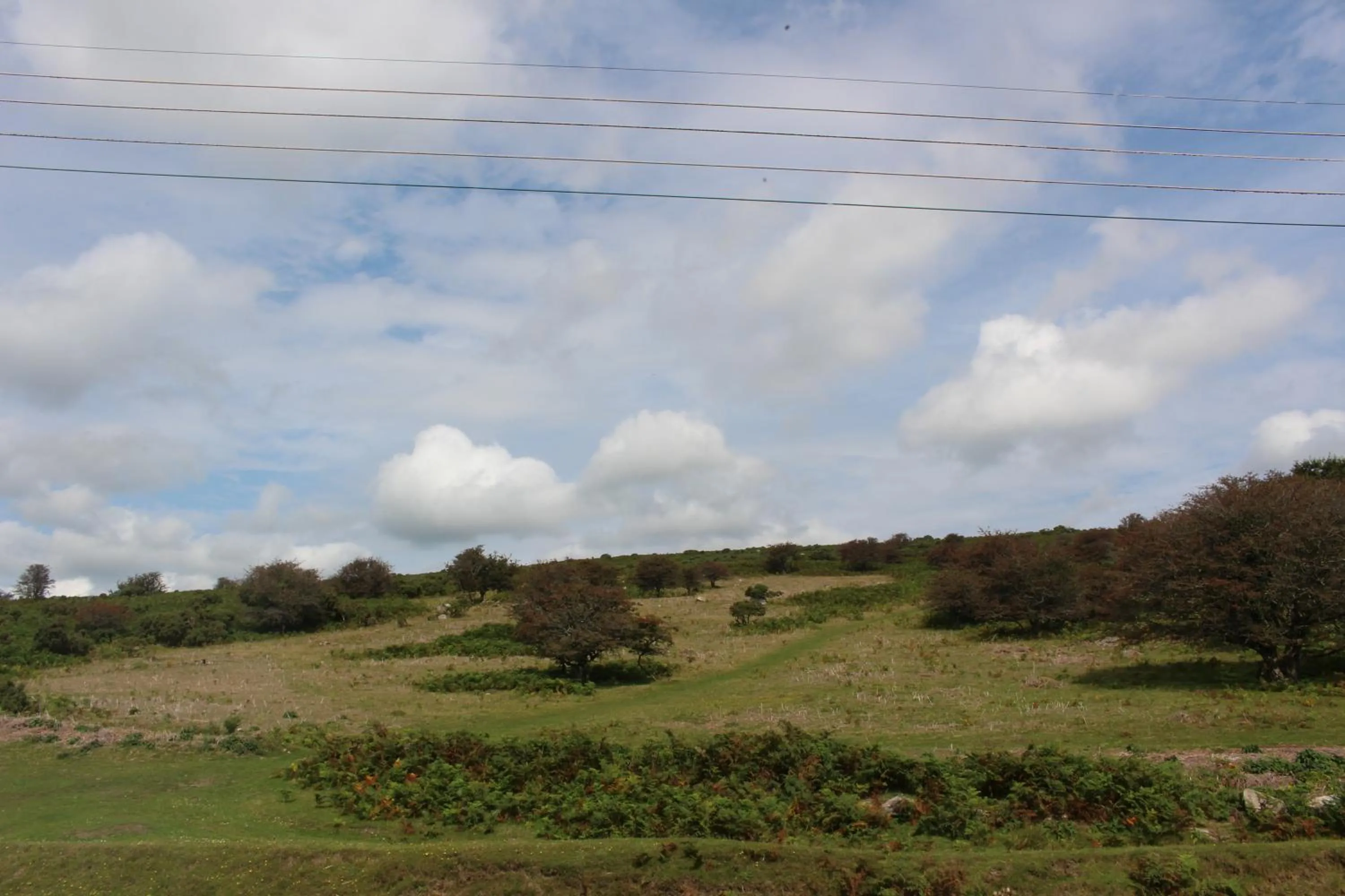 View (from property/room) in The Moorland Hotel