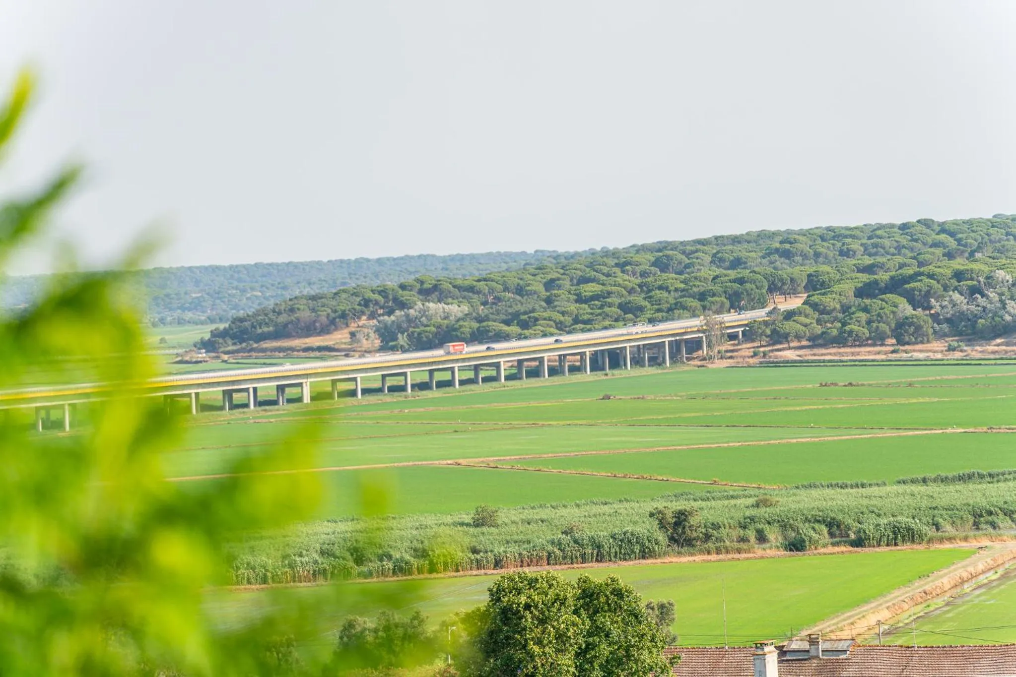 Day in 4Ever Palace Design&Nature