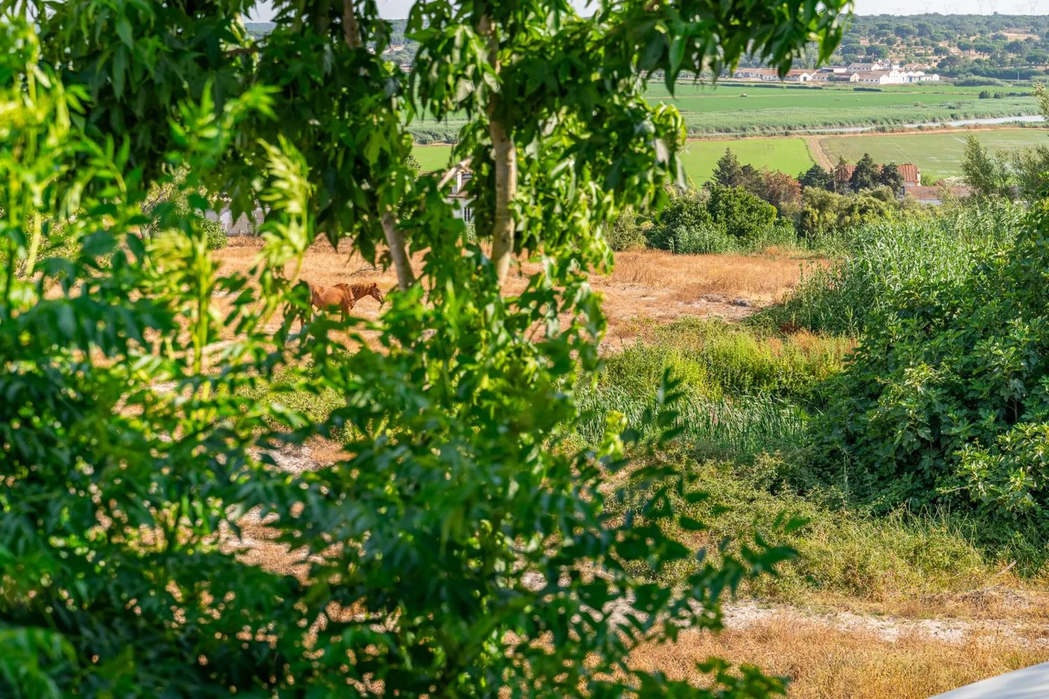 4Ever Palace Design&Nature