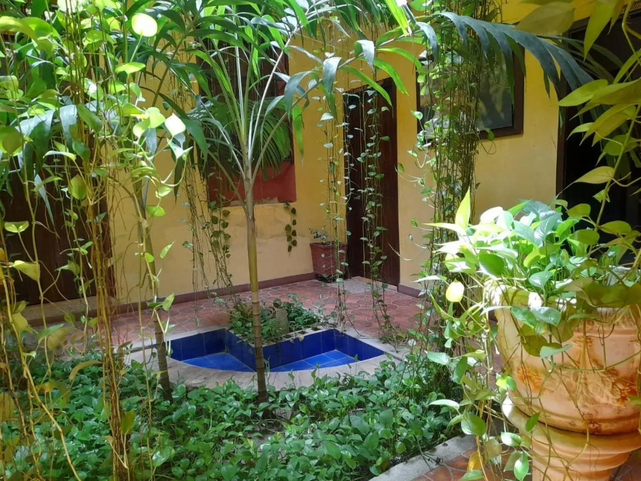 Garden in hotel san nicolas colonial