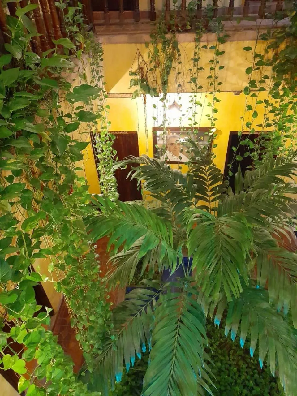 Garden in hotel san nicolas colonial