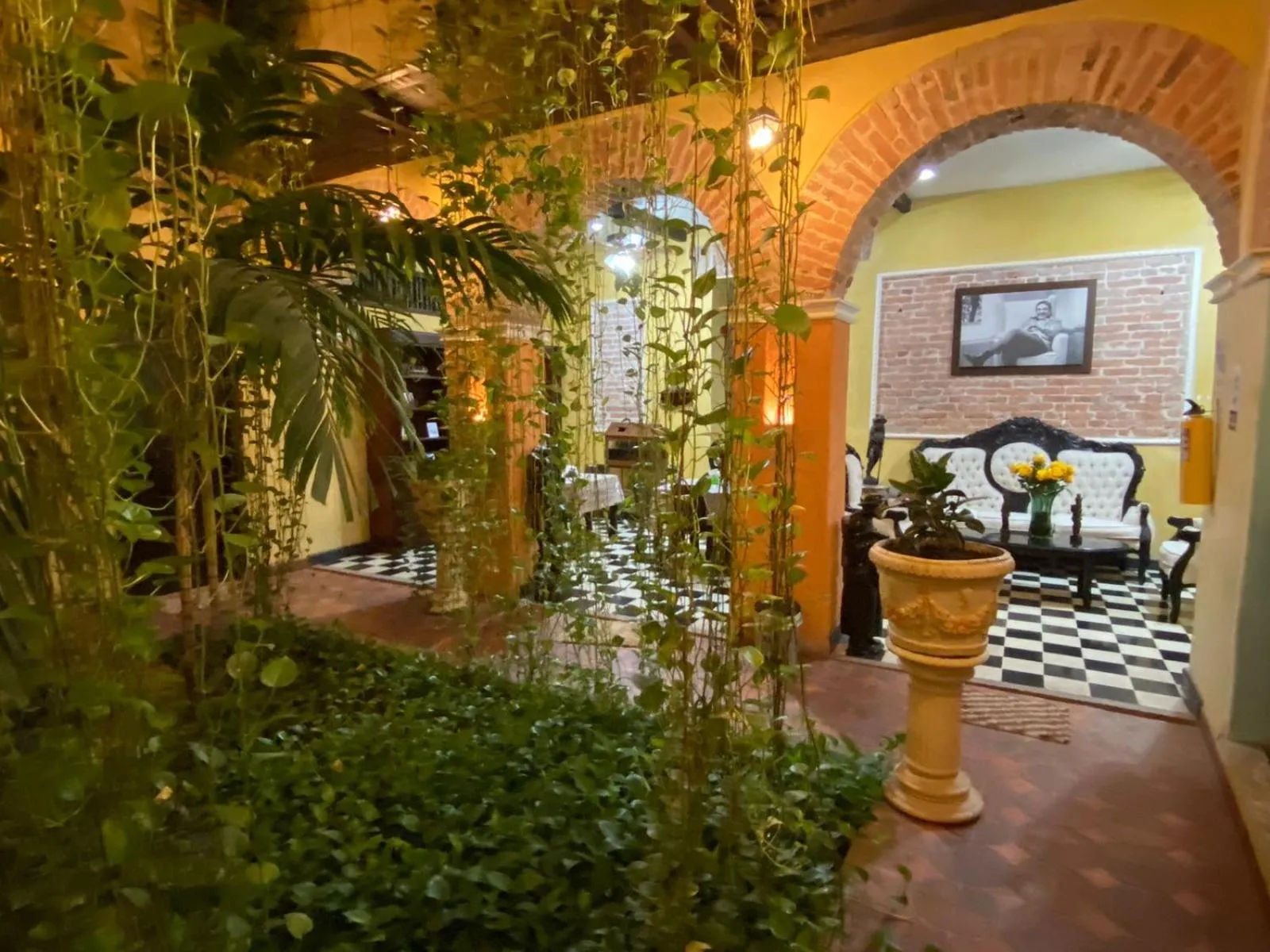 Garden in hotel san nicolas colonial