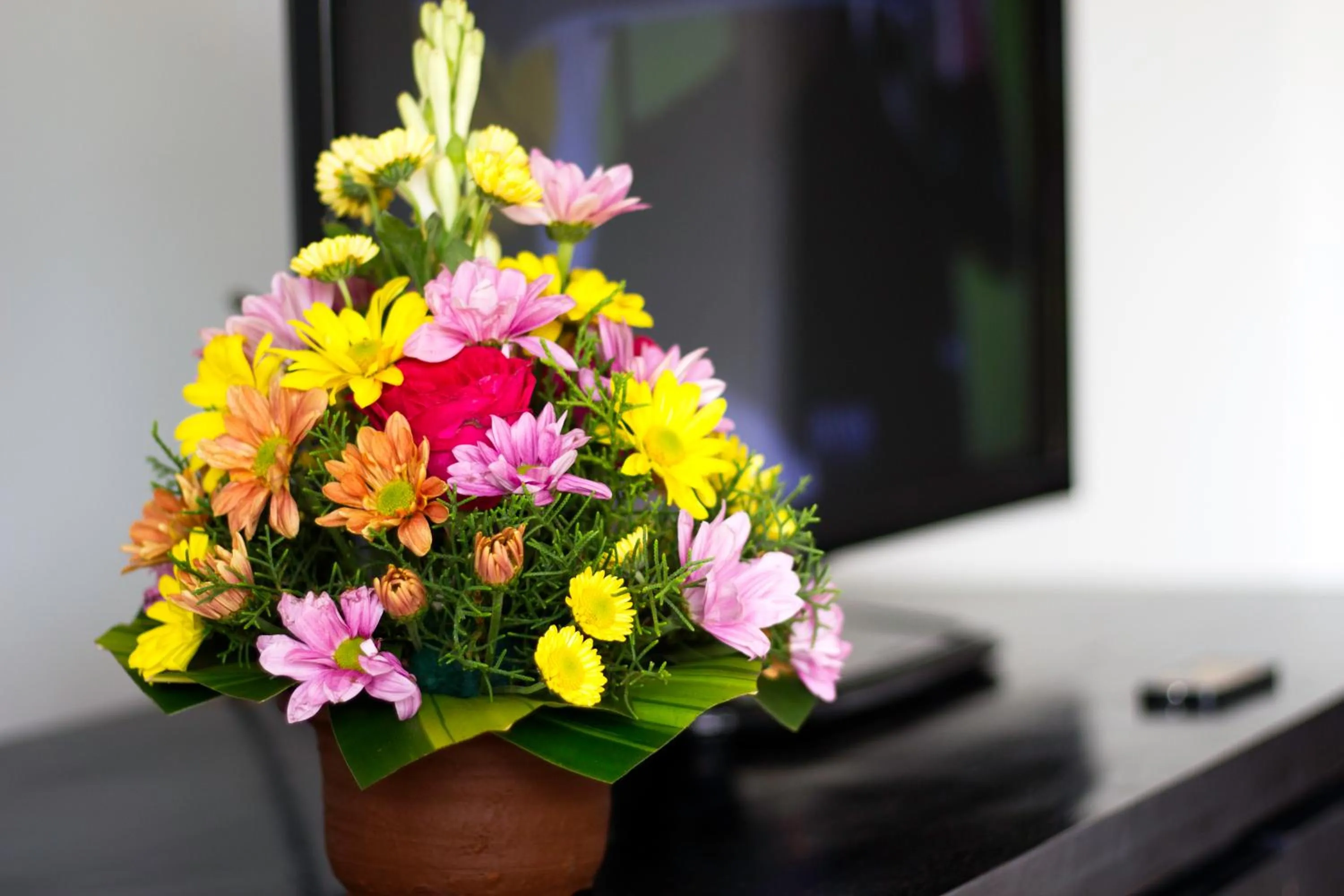 Other in The Brothers Villa