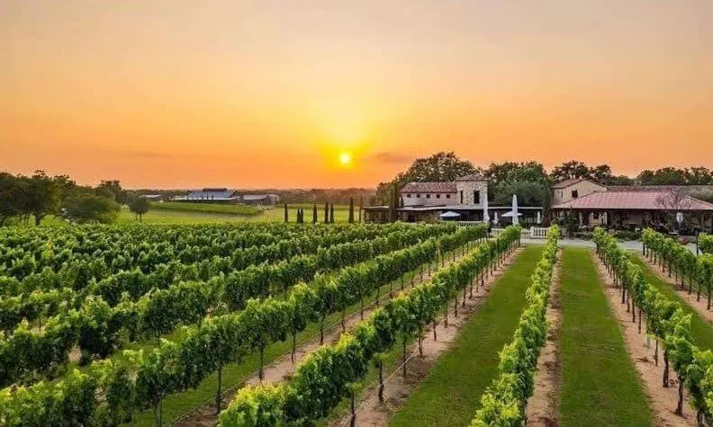 2 Kings Hot Tub Modern Cottage Hill Country