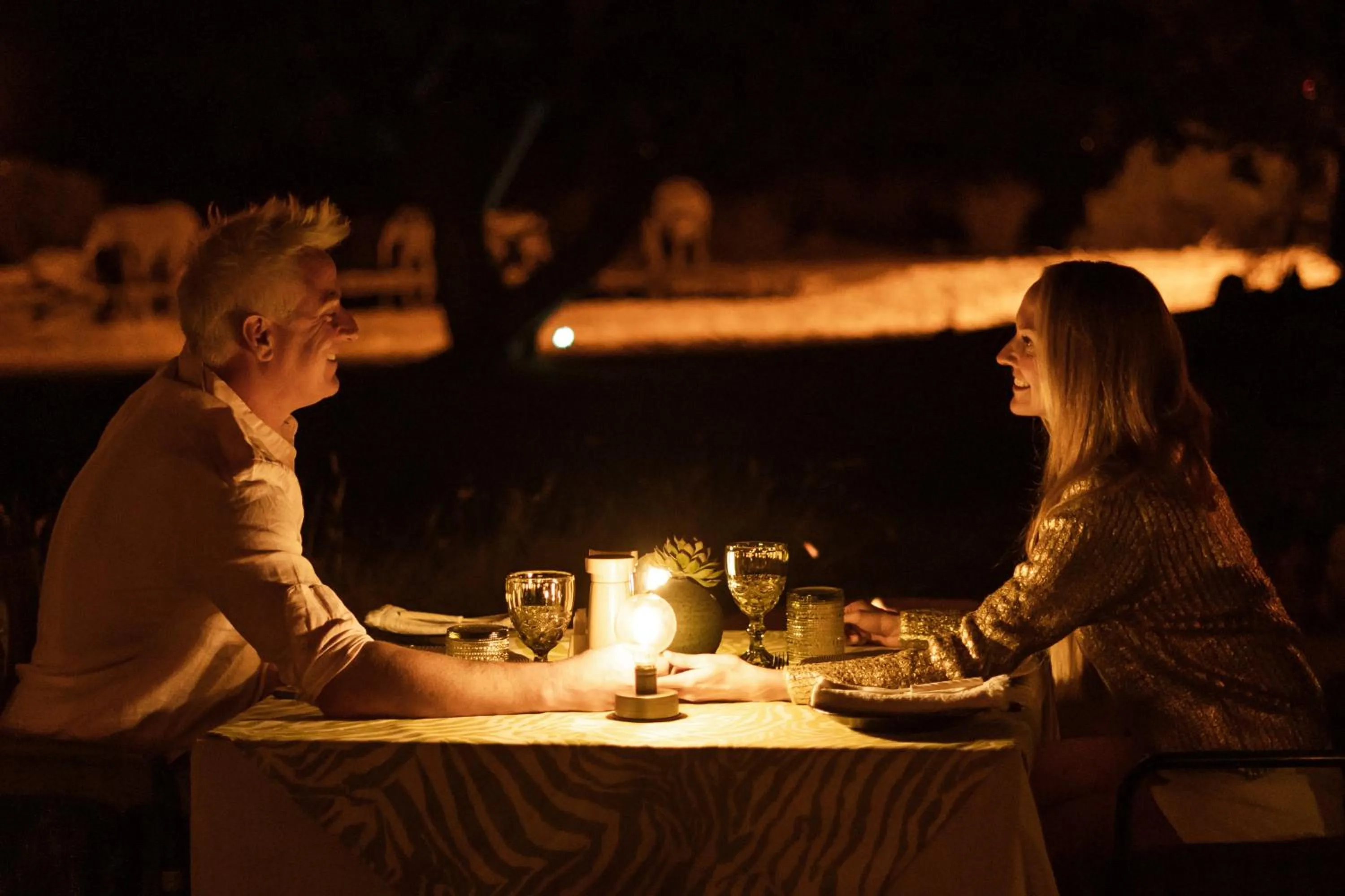 Night in Last Word Madikwe