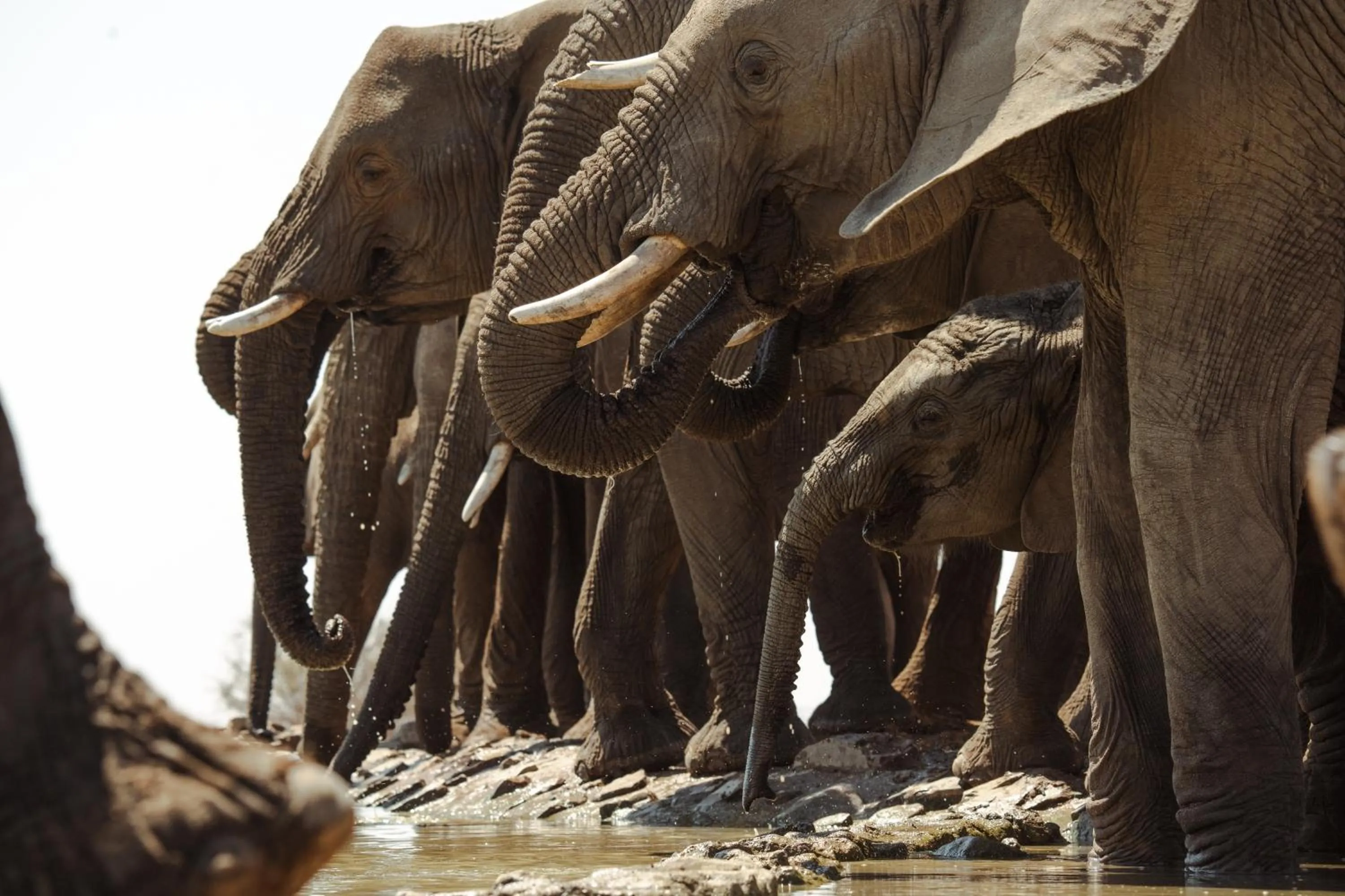 Day in Last Word Madikwe